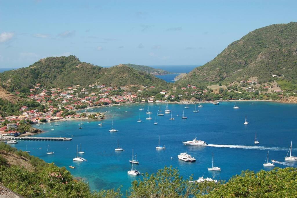 Tamana Guadeloupe