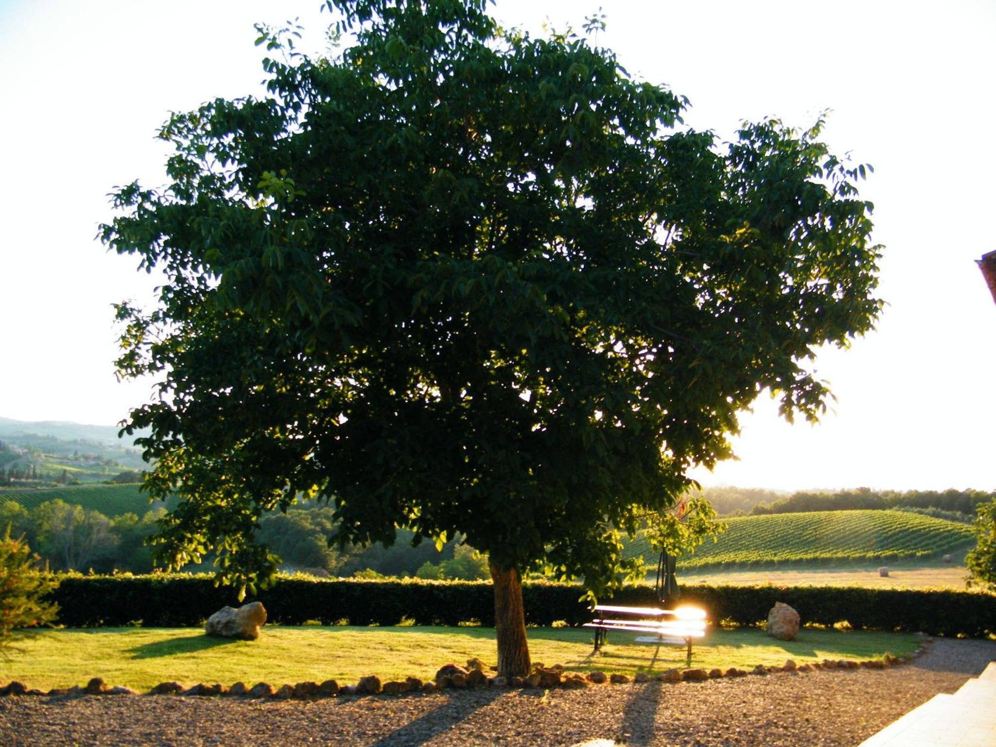 Agriturismo Montegonfoli