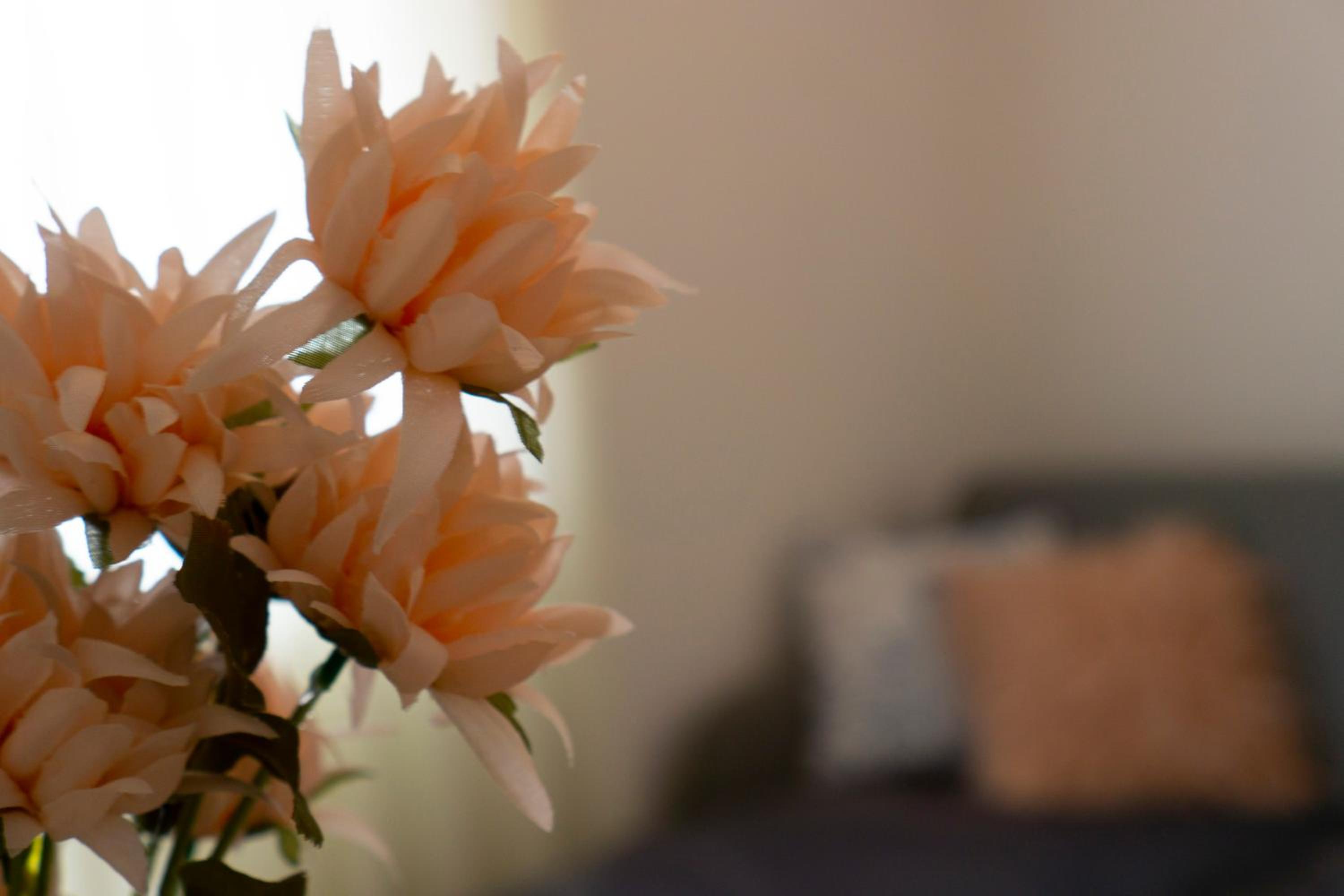 Apartman Paradisus Trebinje
