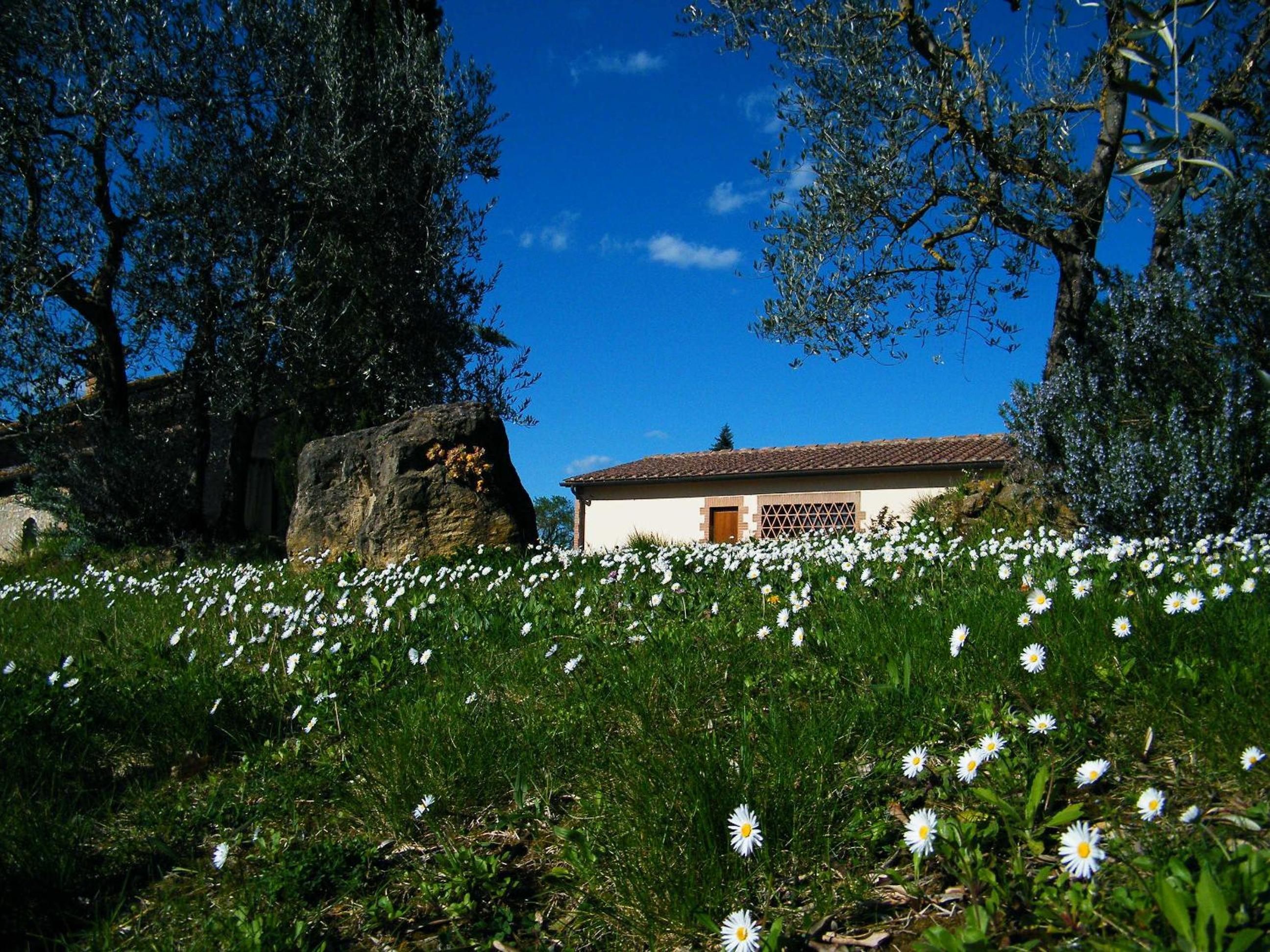 Agriturismo Montegonfoli