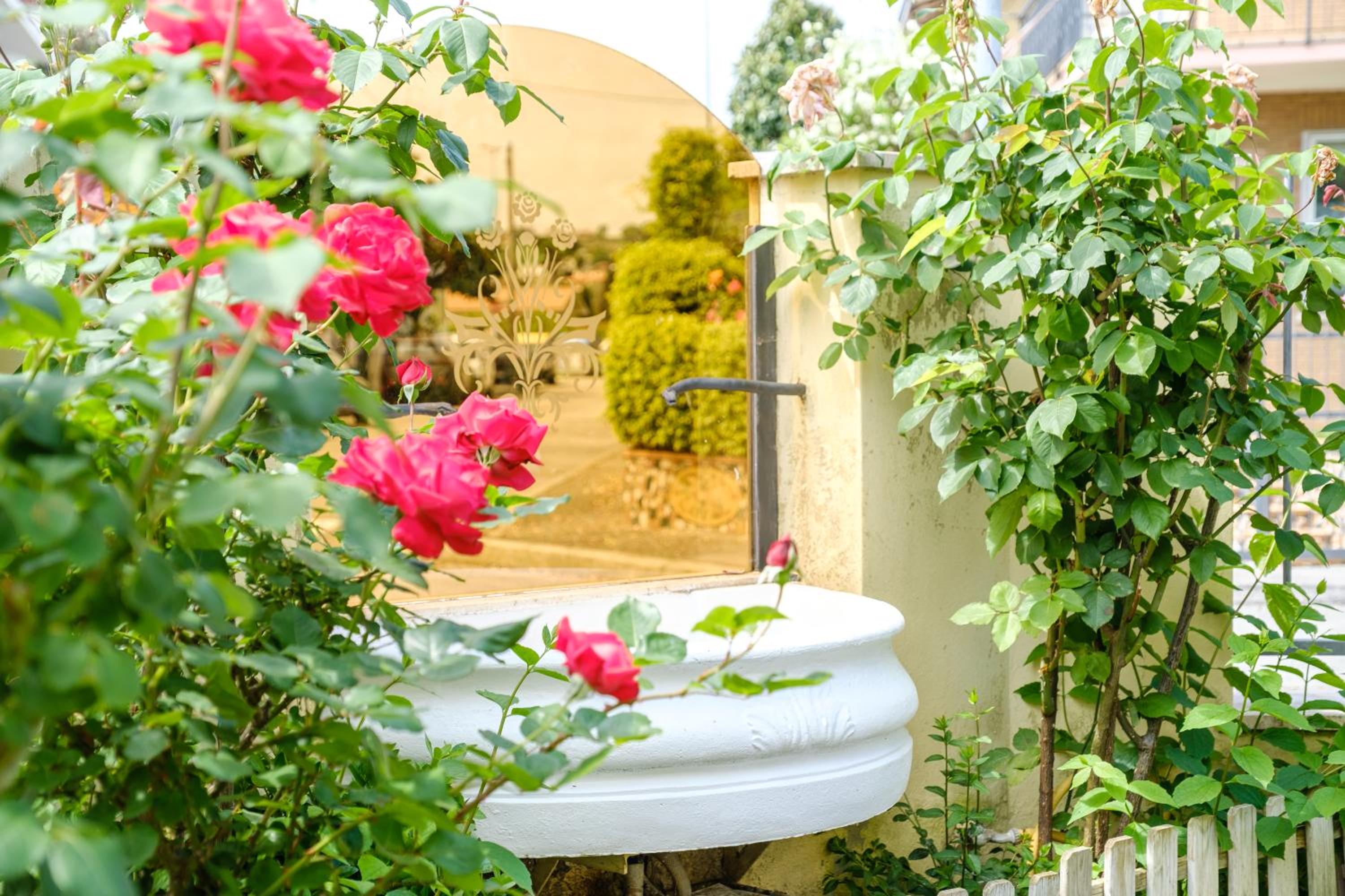 Le Rose Suites - Misano World Circuit & Beach view 3
