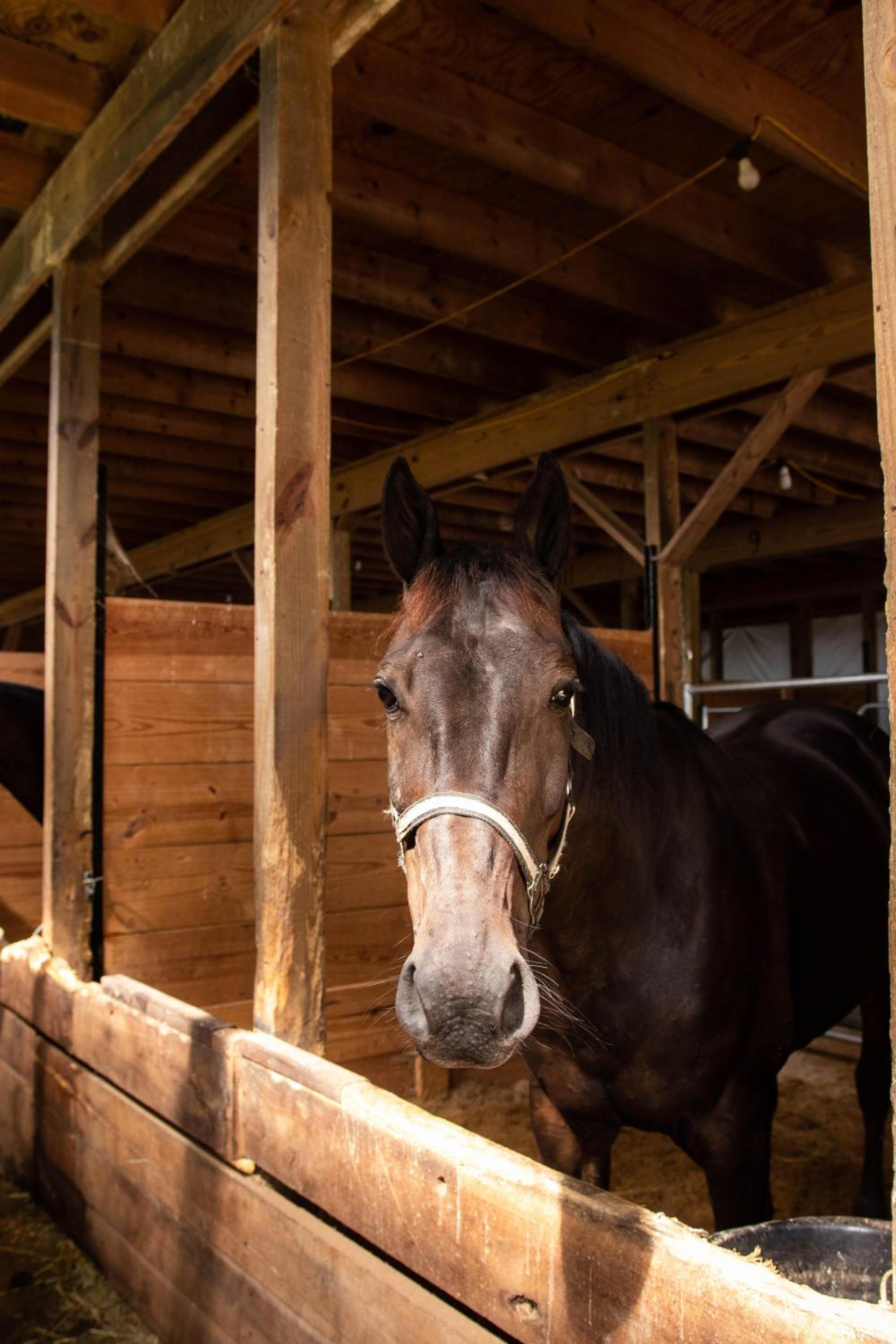 Photo 58