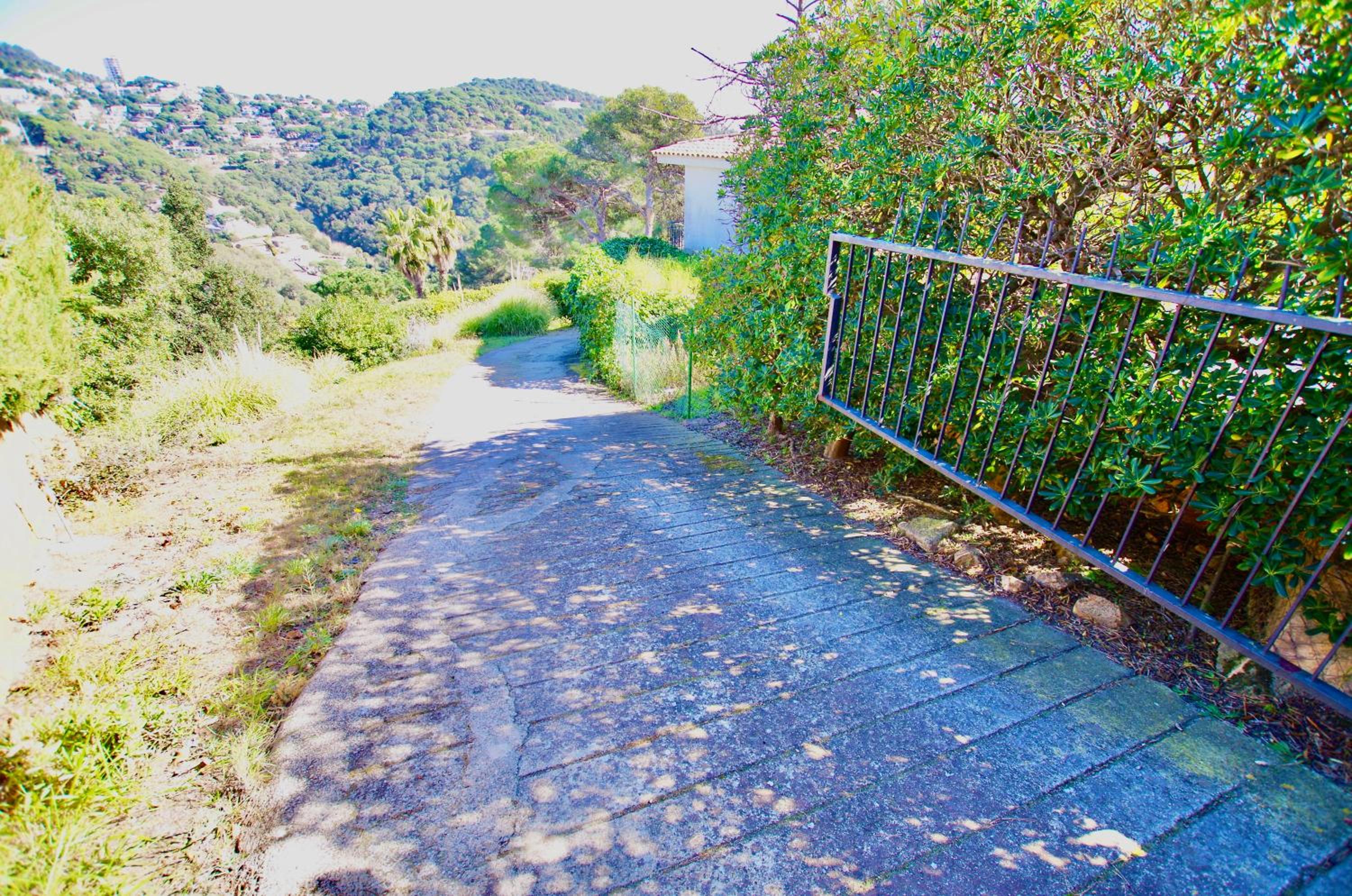 Photo 41