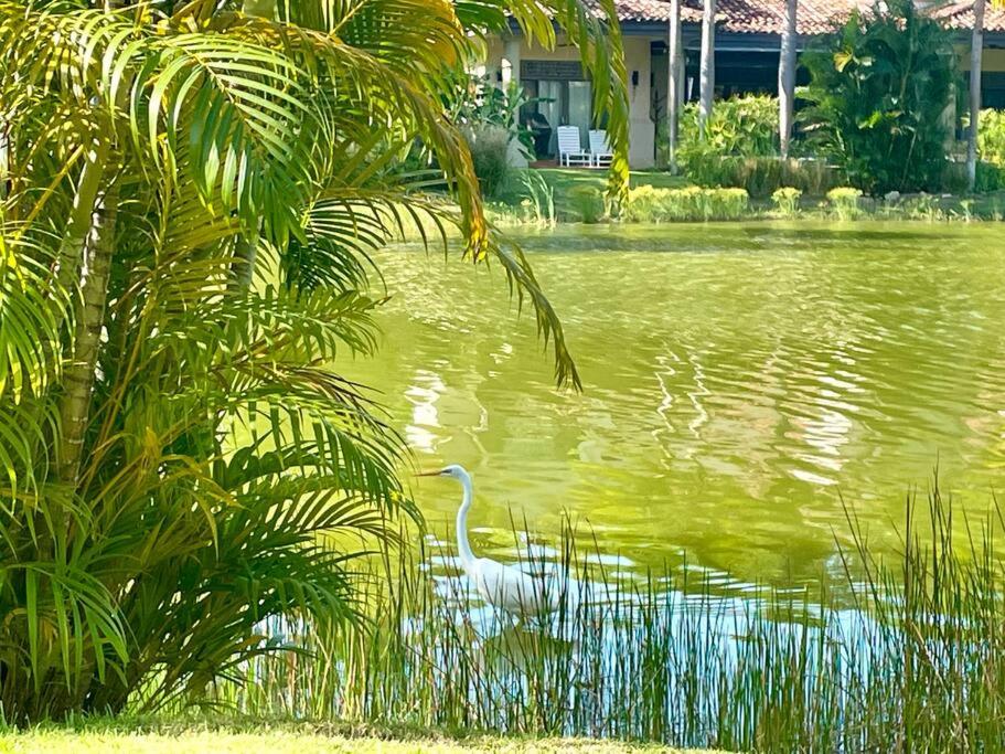 Bristol Lake House - Private Pool - King Beds - Next to El Faro Beach Club