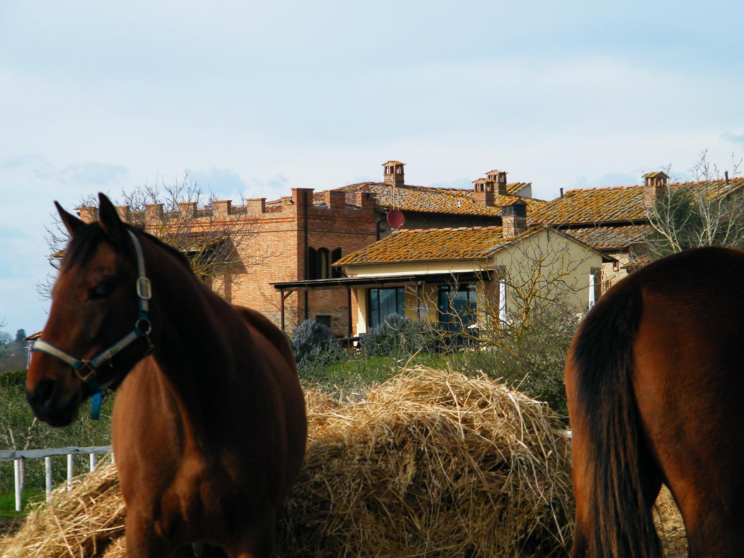 Agriturismo Montegonfoli