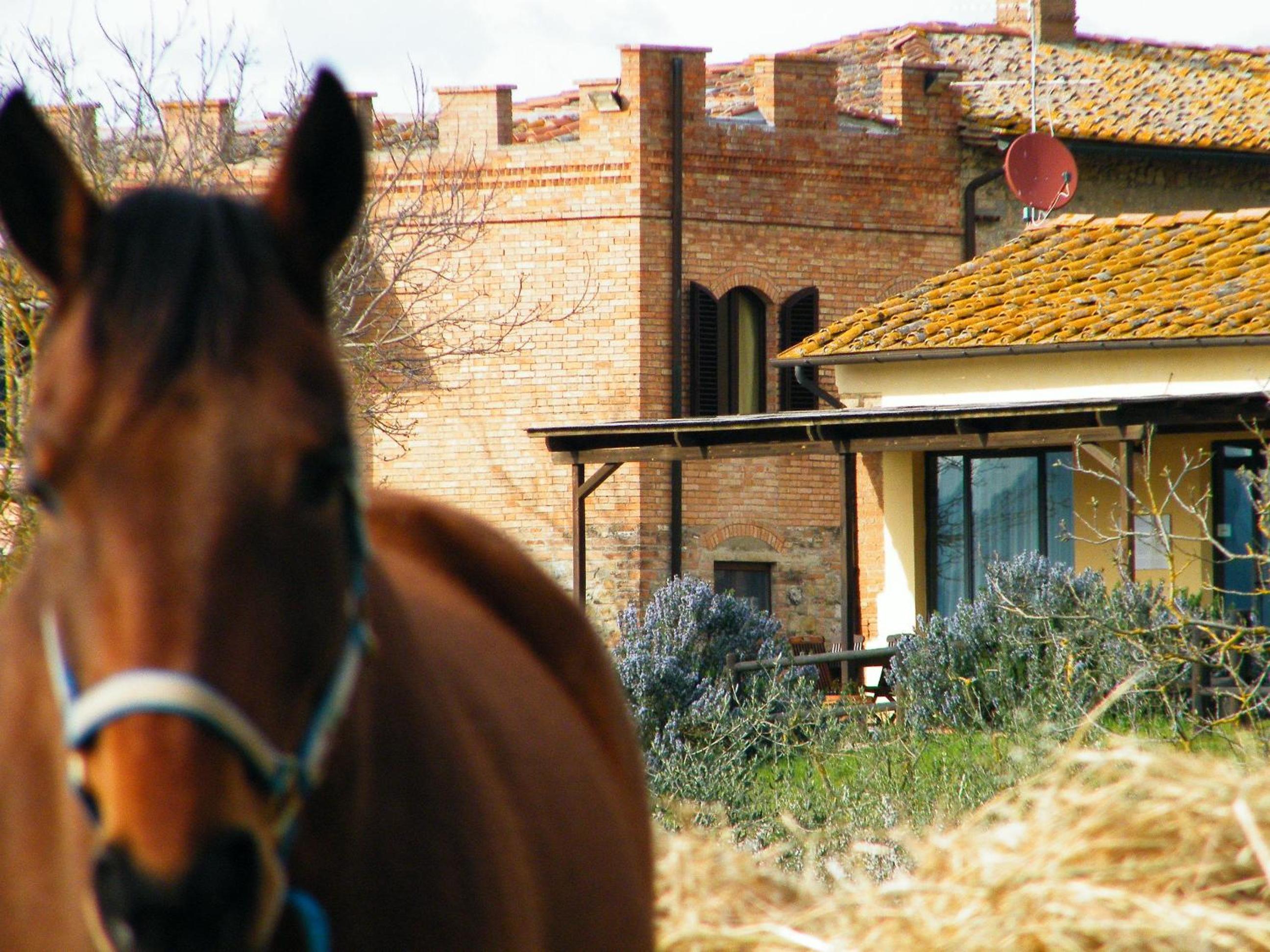 Agriturismo Montegonfoli