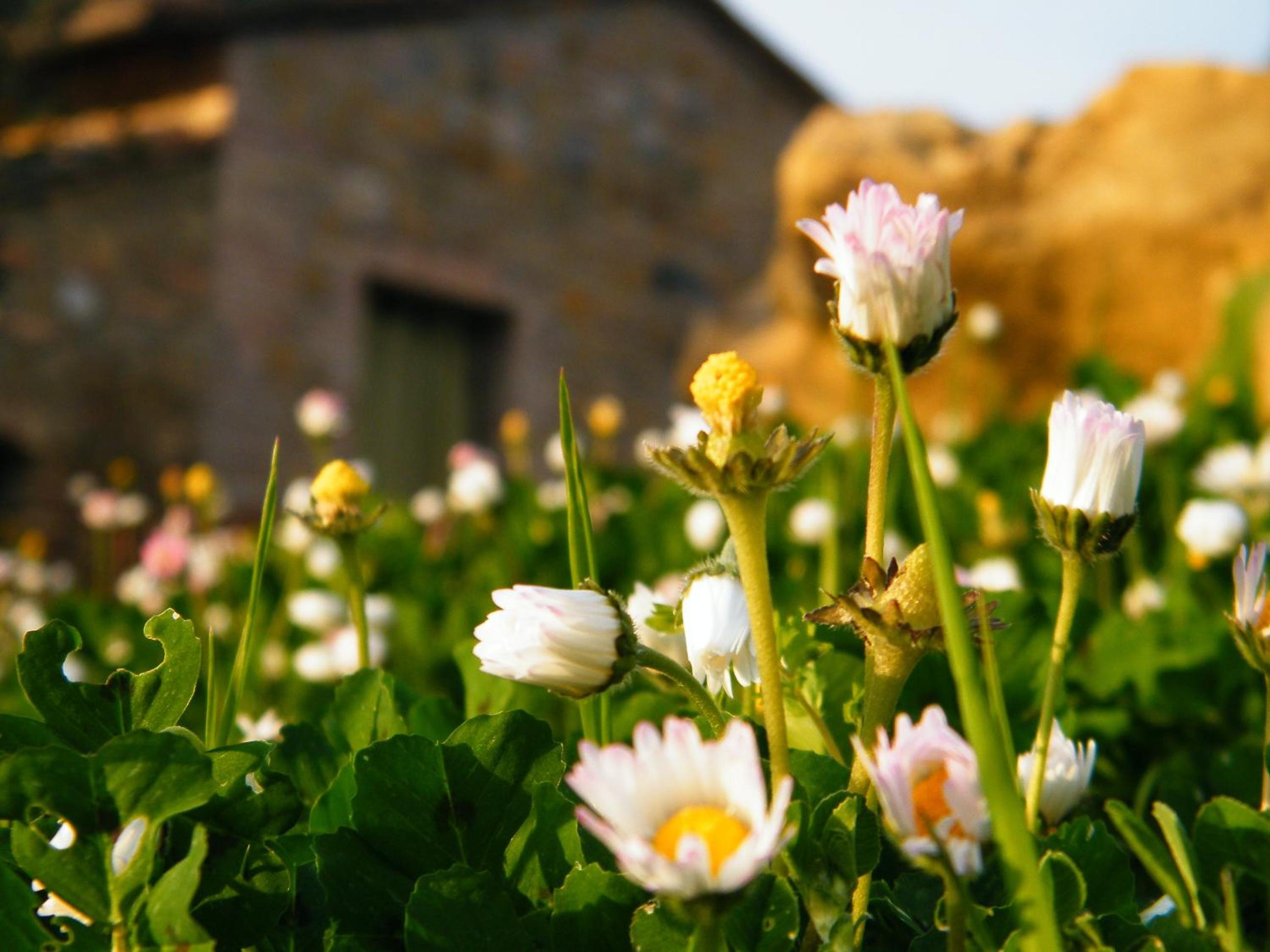 Agriturismo Montegonfoli