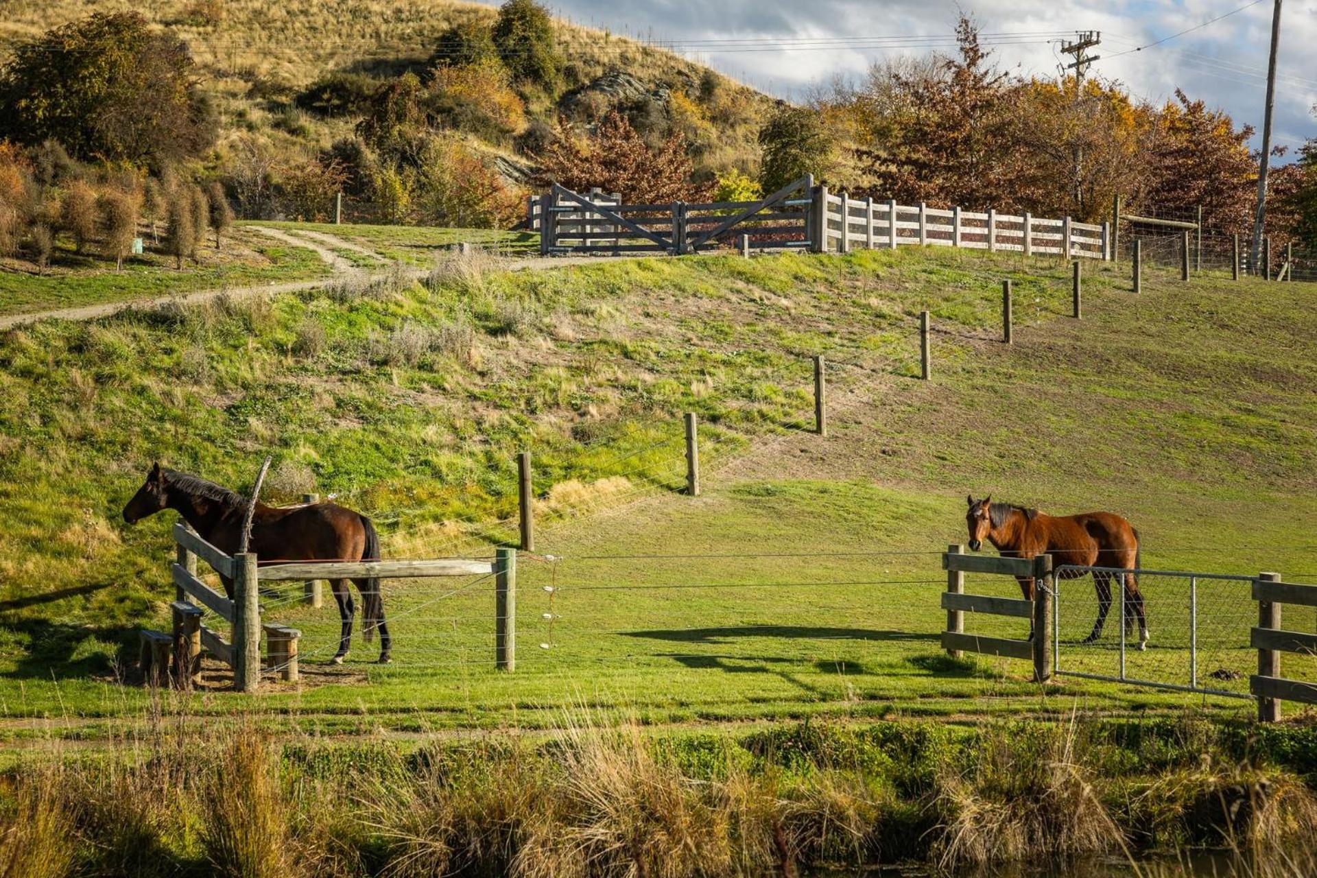 Countryside Escape Arrowtown