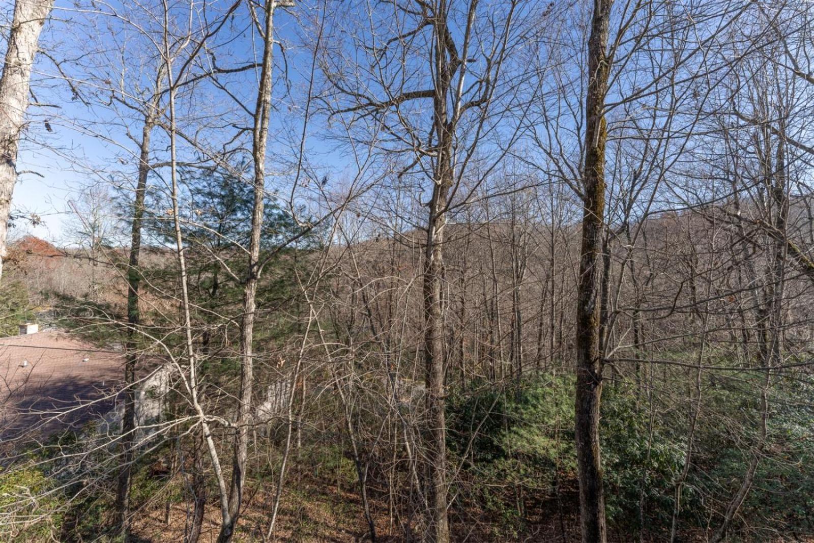Bearly Ruffin It · Bearly Ruffin It in Connestee Falls view 4