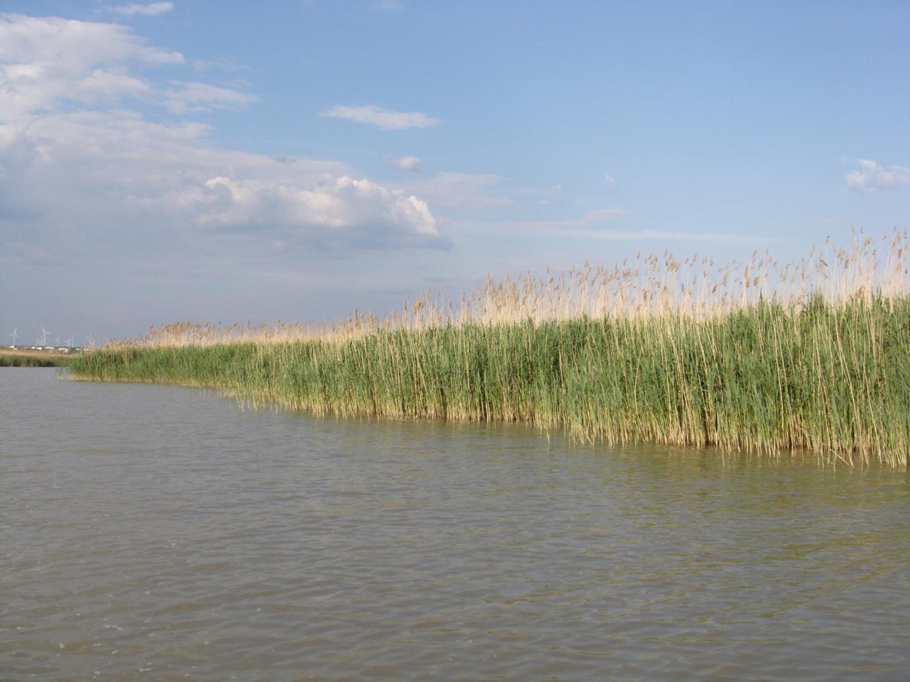 Haus am See