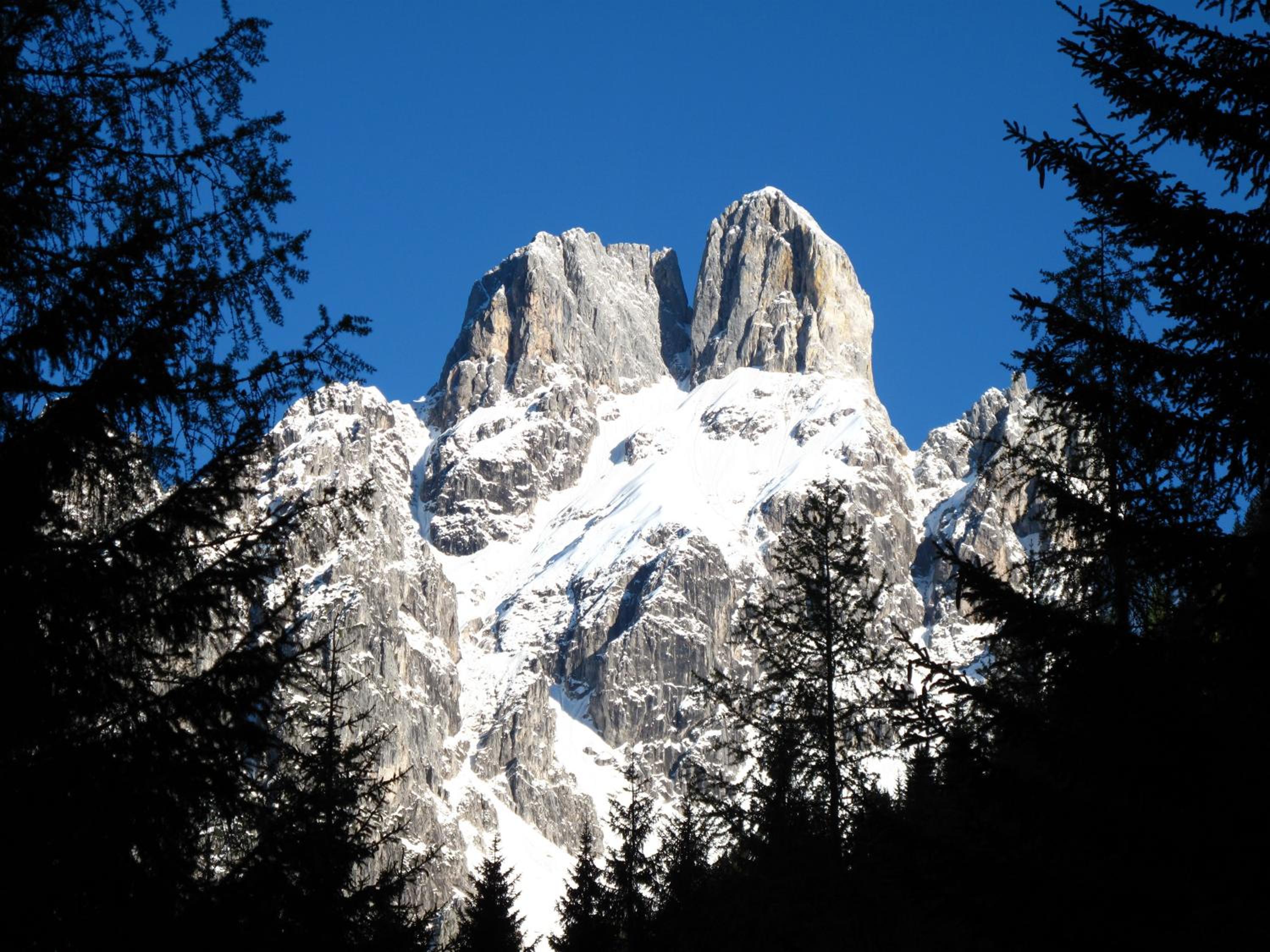 Photo 37