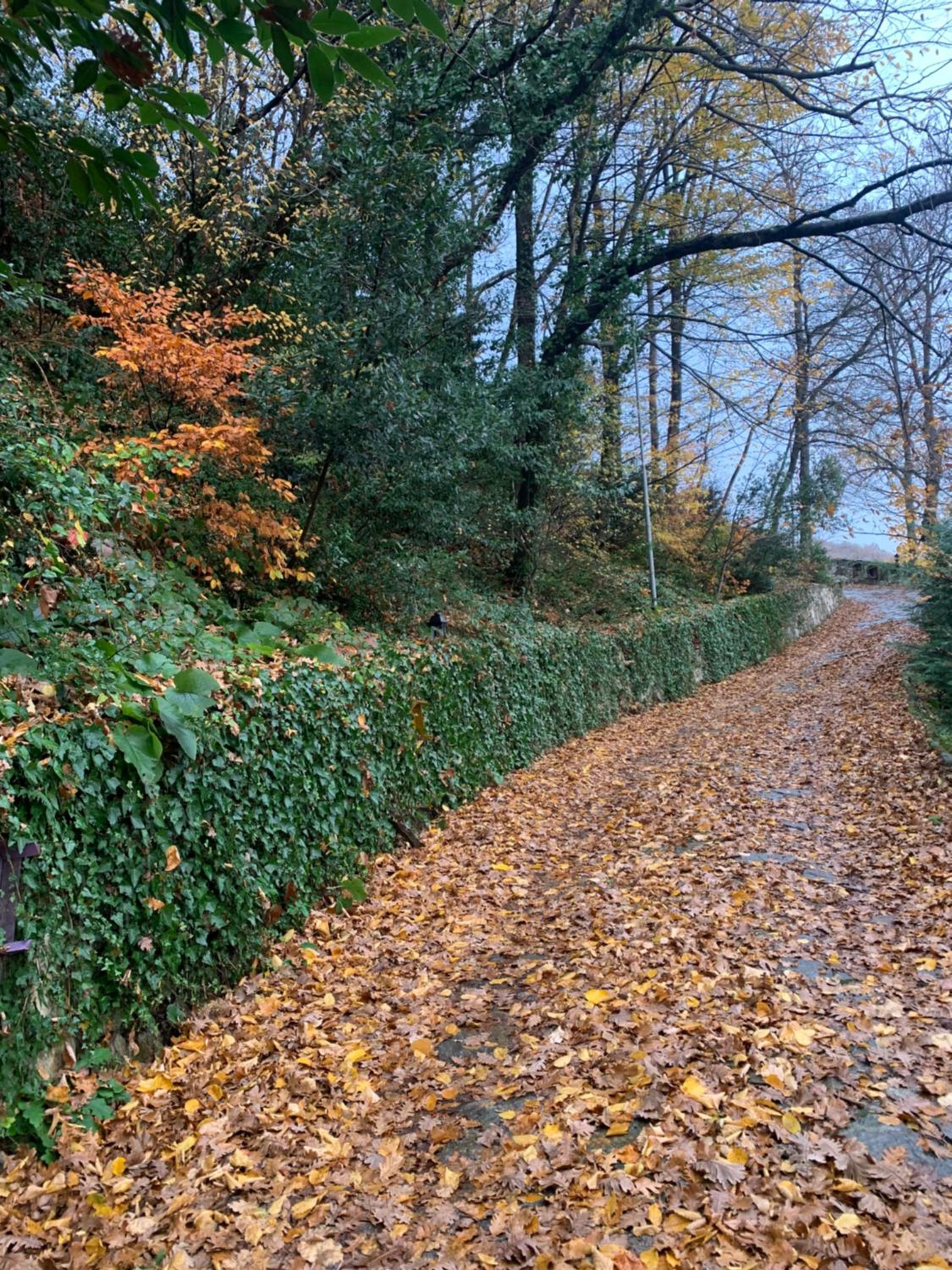 Photo 46