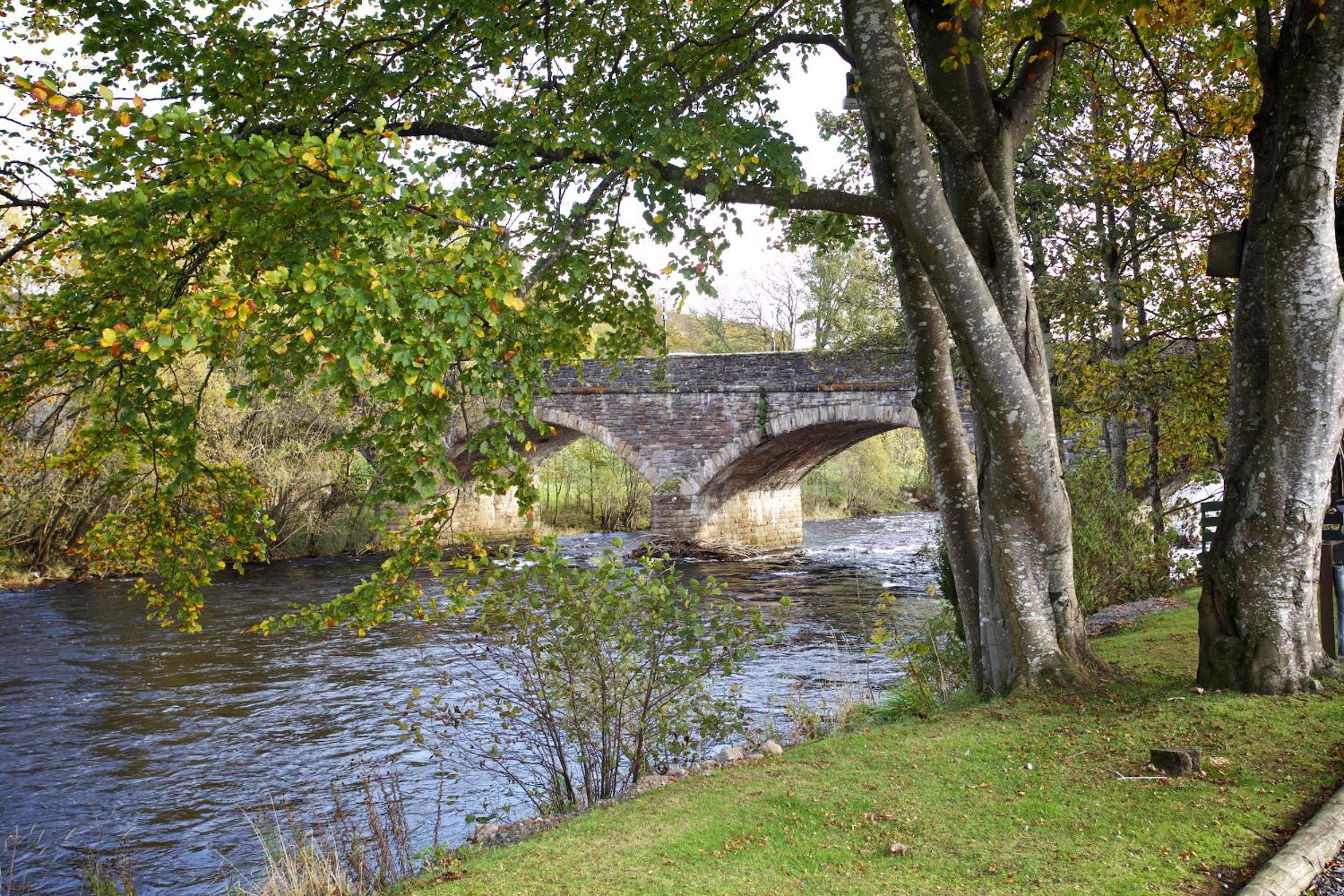Photo 40