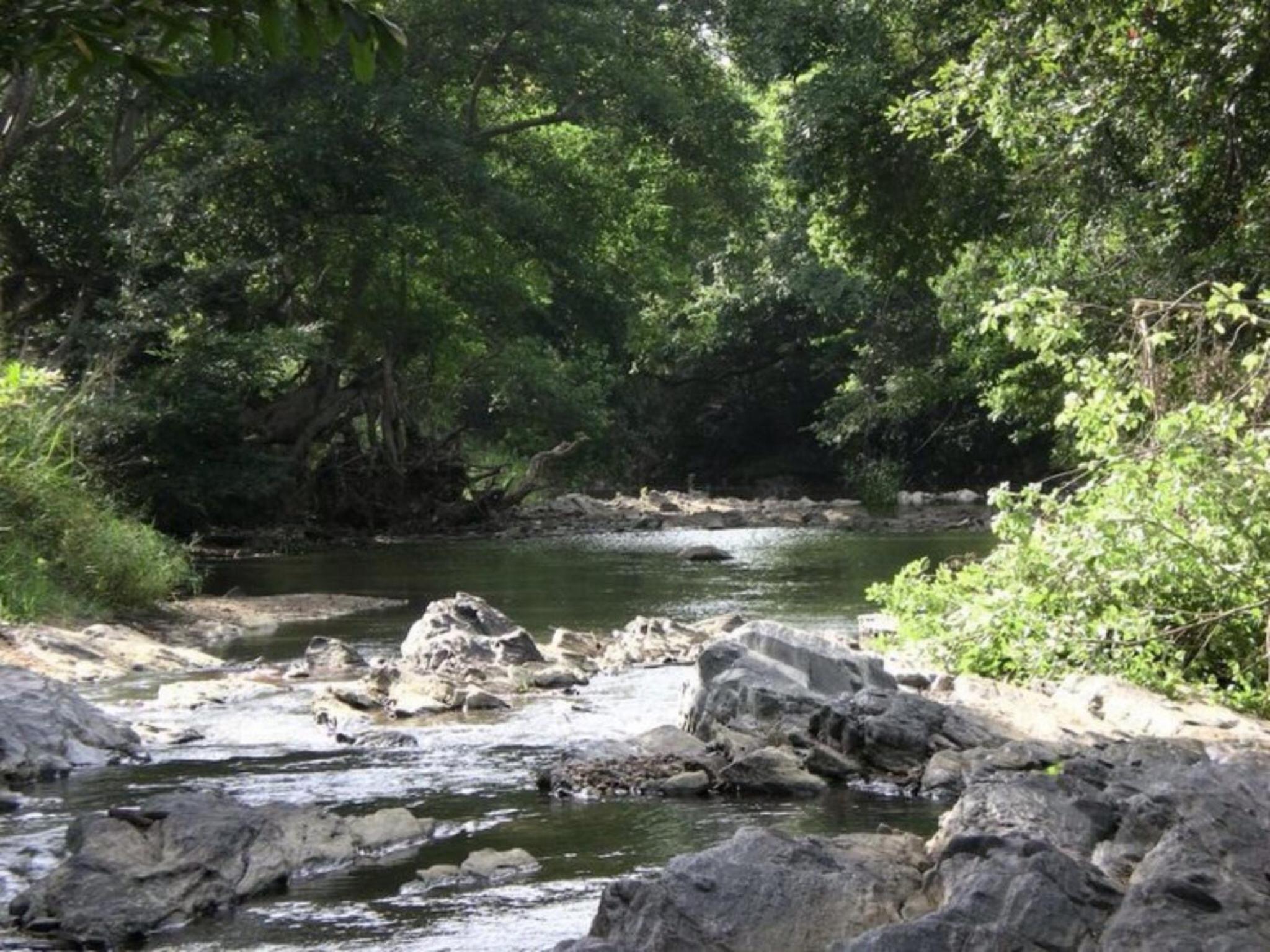 Photo 252
