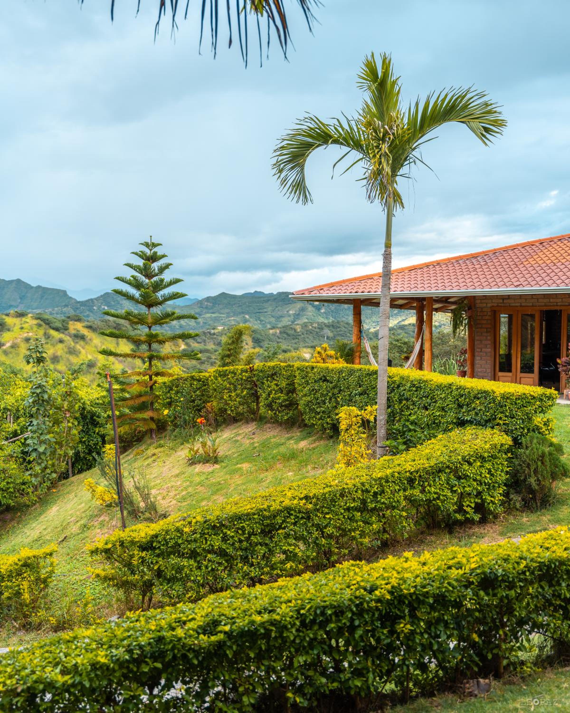 Finca Valentina view 5