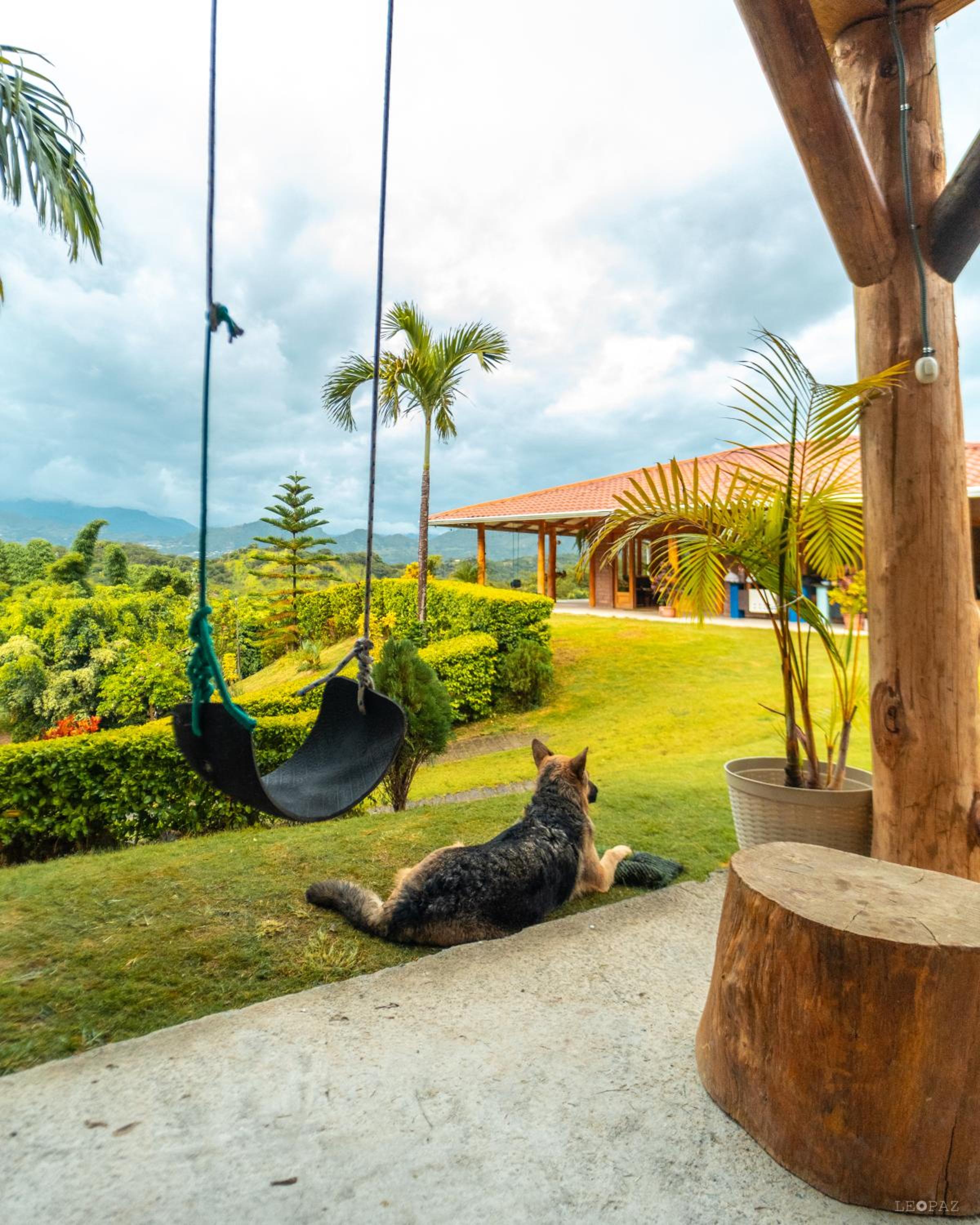 Finca Valentina view 2