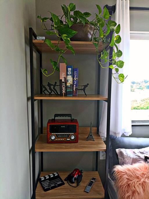 Tiny House Paraiso Minicasas Com Hidromassagem