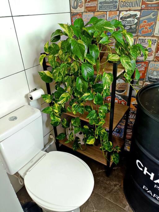 Tiny House Paraiso Minicasas Com Hidromassagem