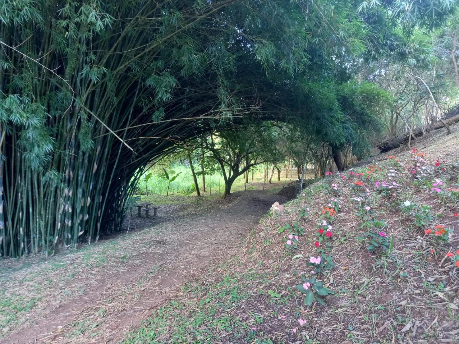 Pousada e Camping Santa Fé