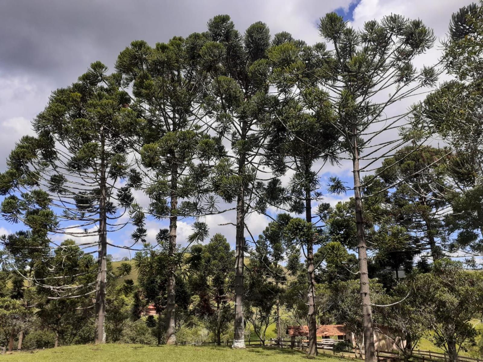 Pousada e Camping Santa Fé