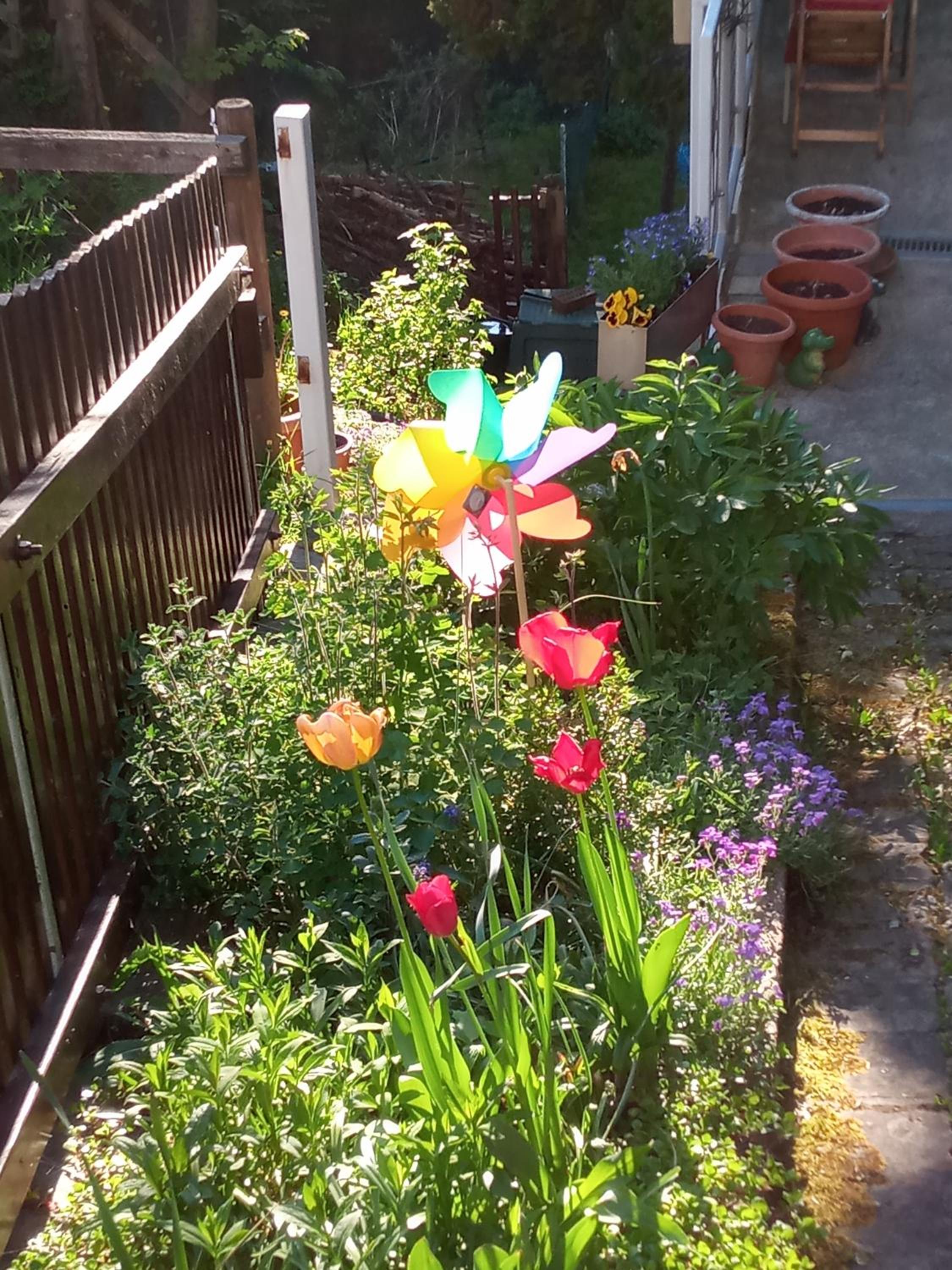 Ferienwohnung zum Sebnitzer Hirsch