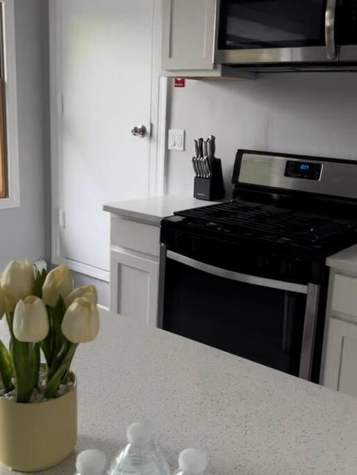 Sleek 1 Bedroom Apartment Plus Balcony 30 Mins to NYC view 4