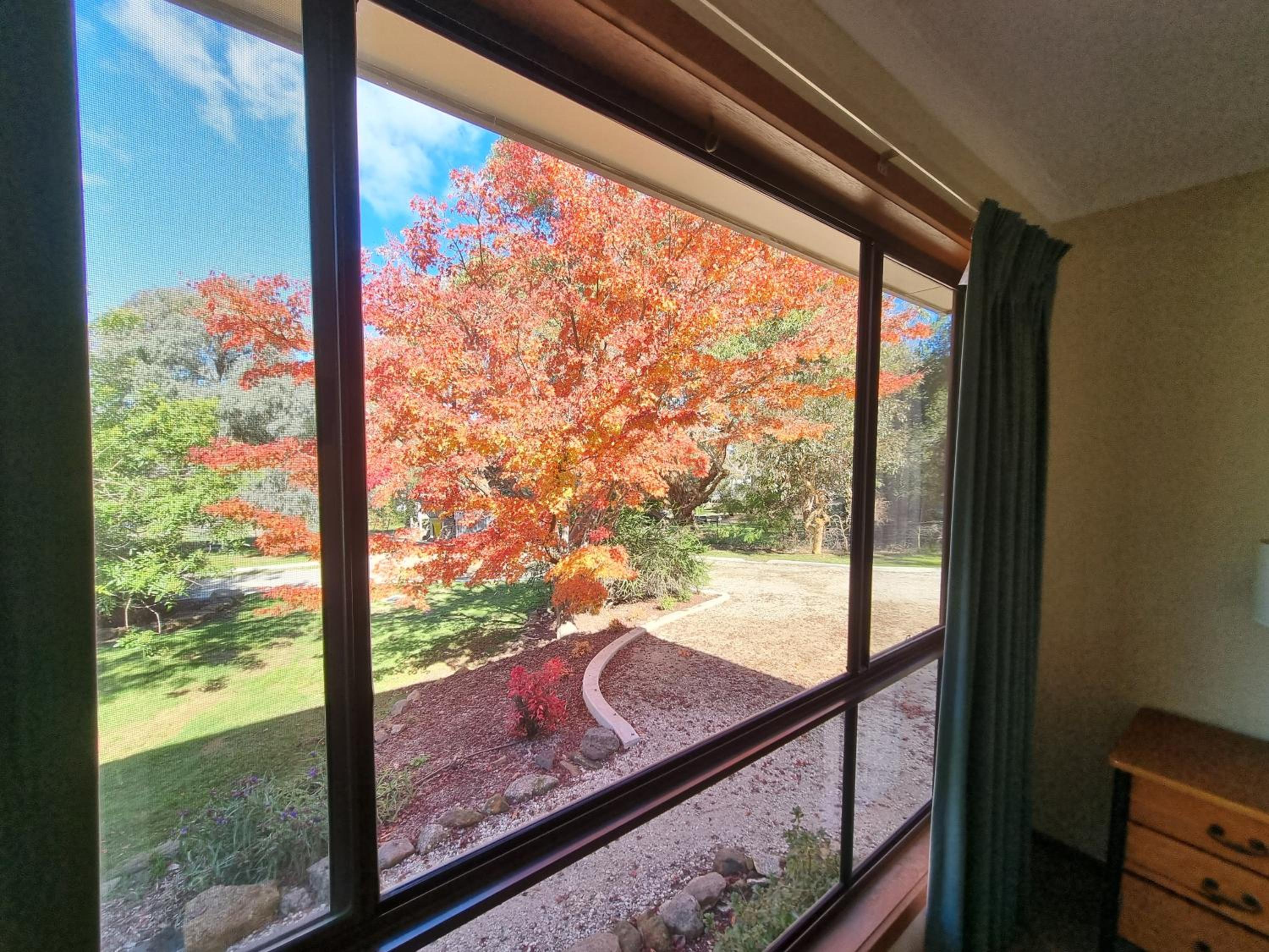 Golden Heritage Apartments Beechworth