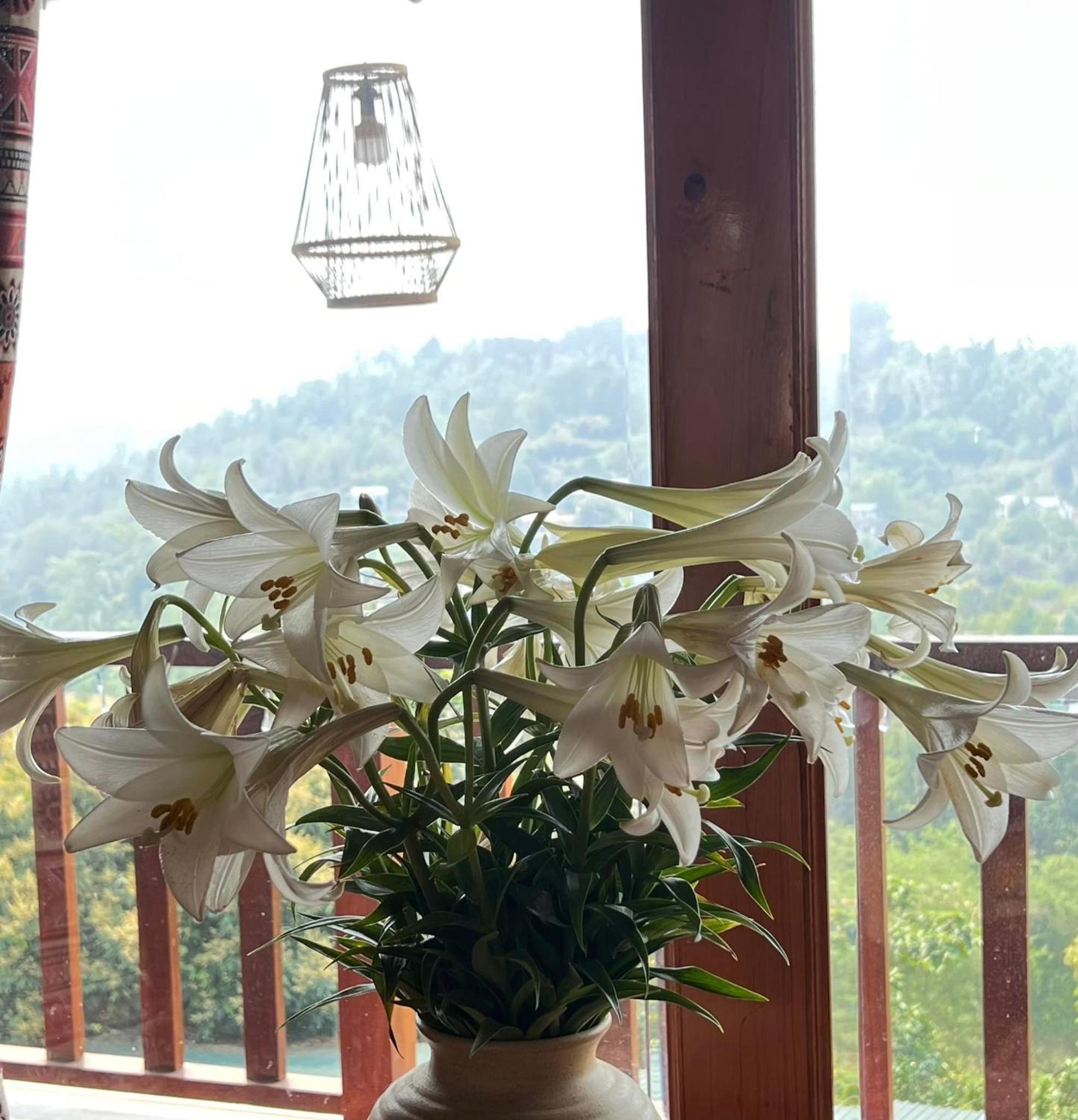 Trốn Homestay, Cao Bằng view 5