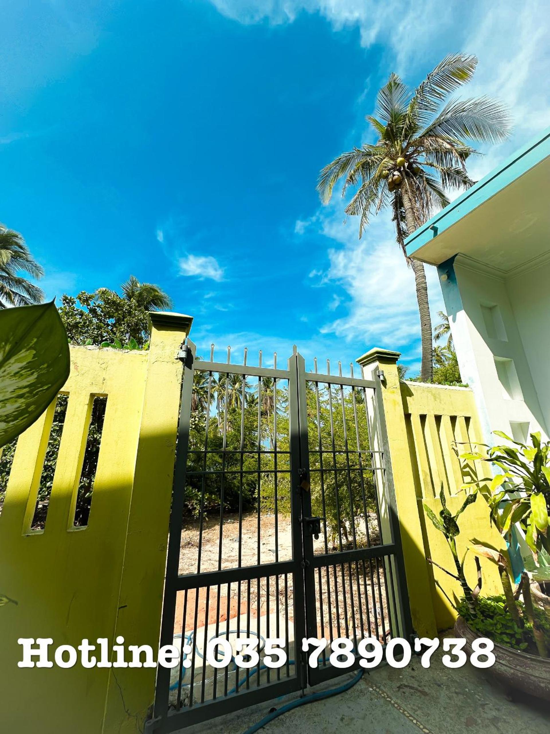 DIỆP NGỌC MAI Guest House view 3