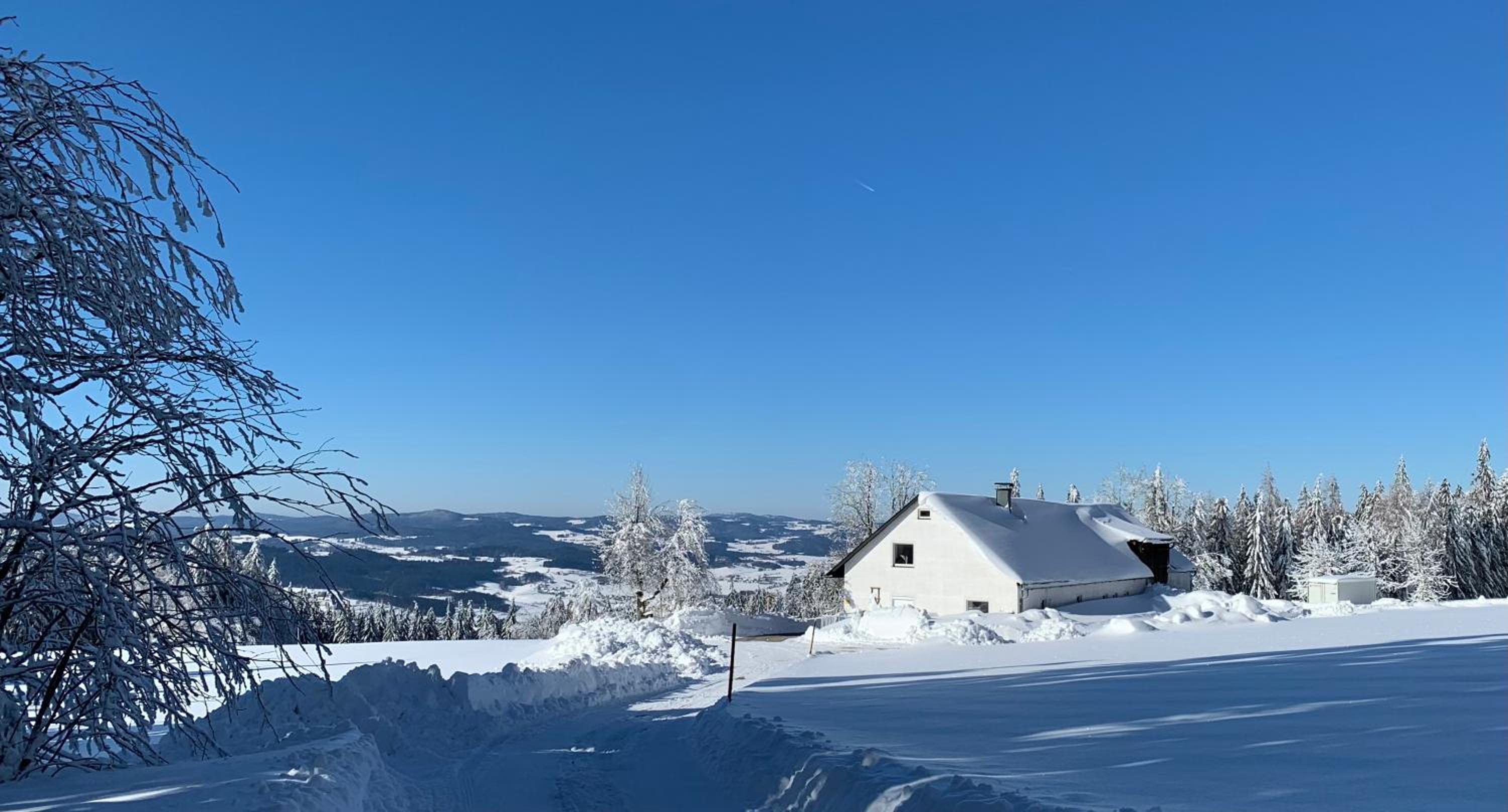 Ferienhaus Frieda