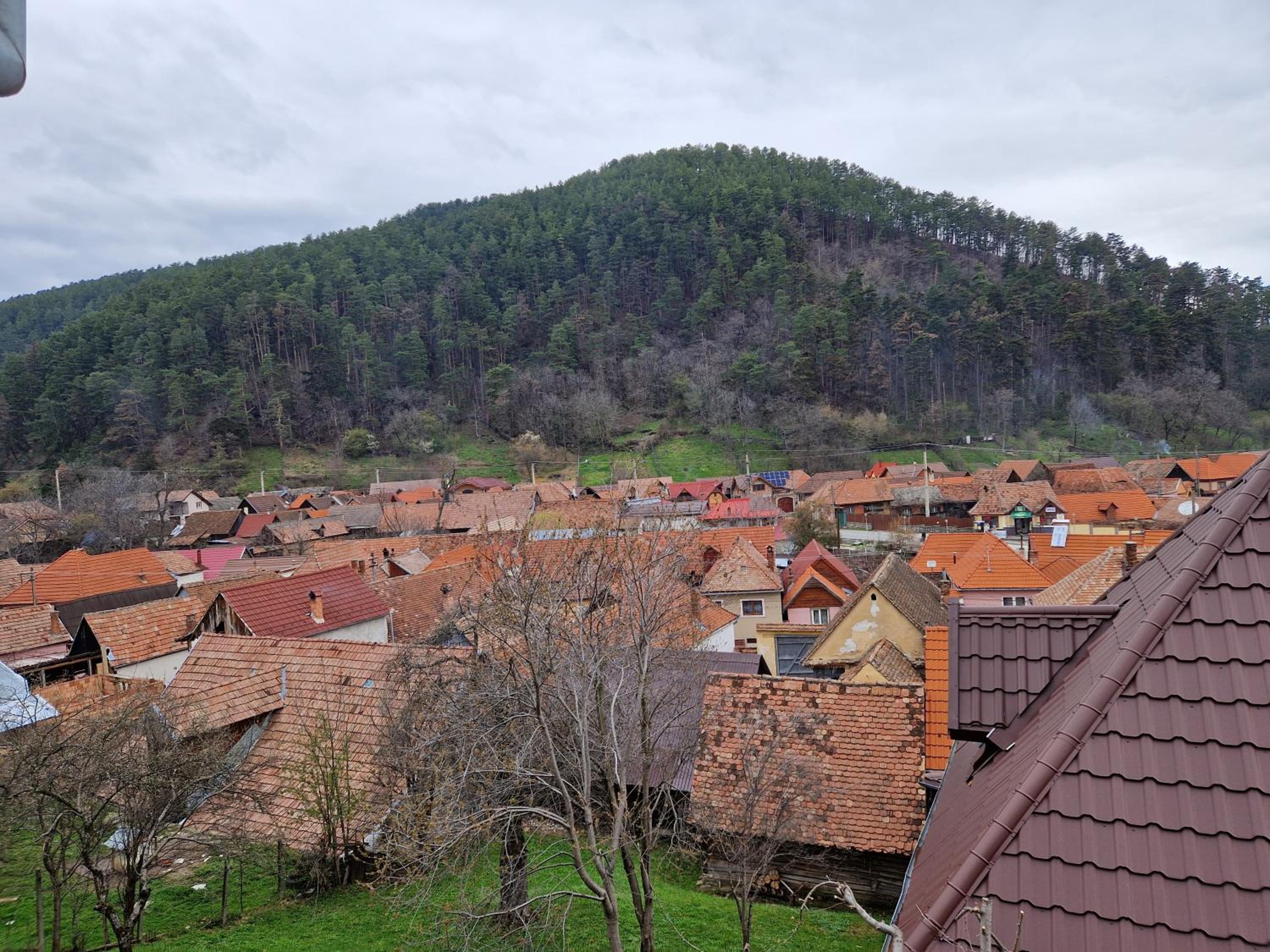pensiunea carul mare