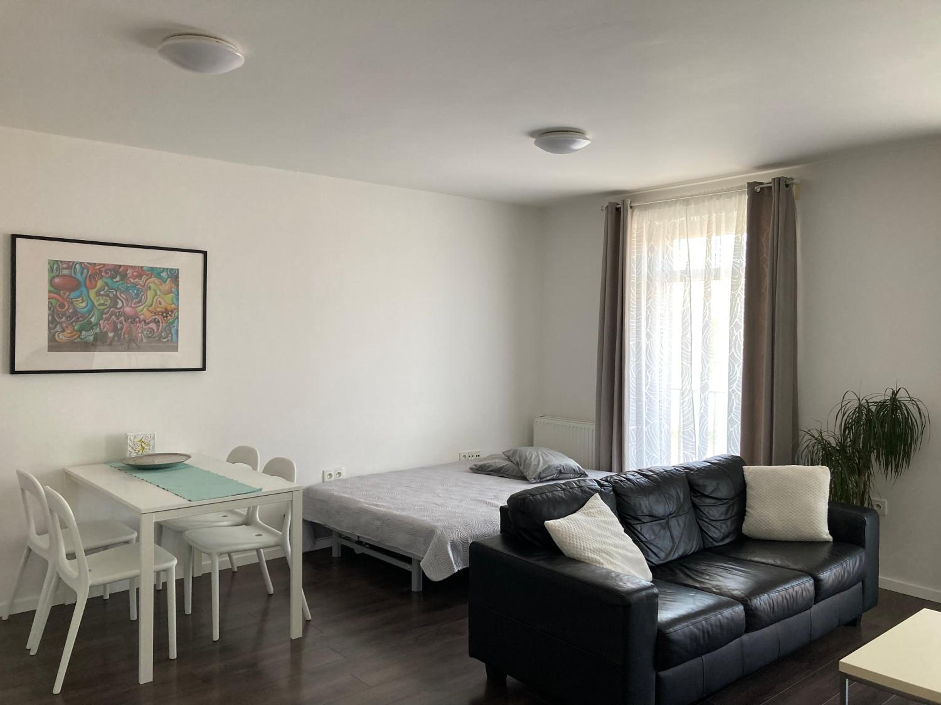 Apartment Husova view 2