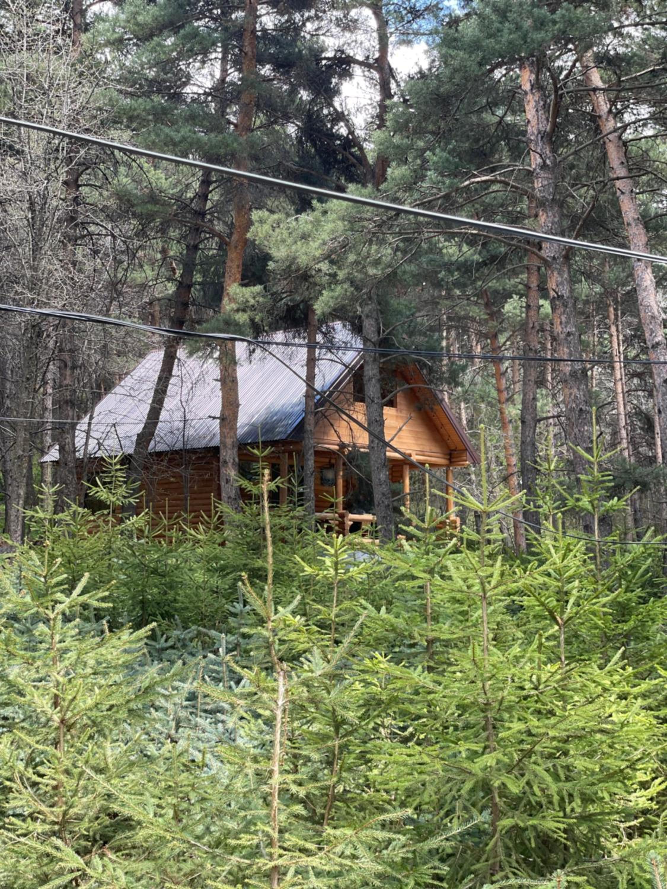 Yeghevni Rest House