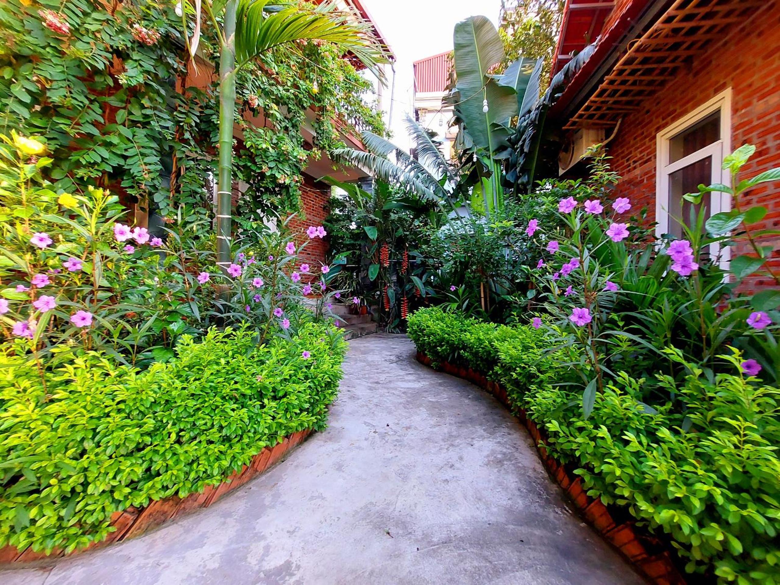 Ninh Binh Mountain Side Homestay & Cafe
