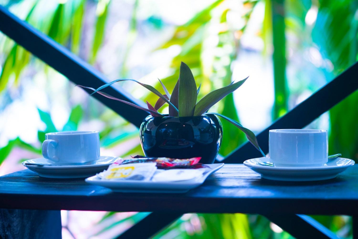 The Cockatoo Nature Resort & Spa