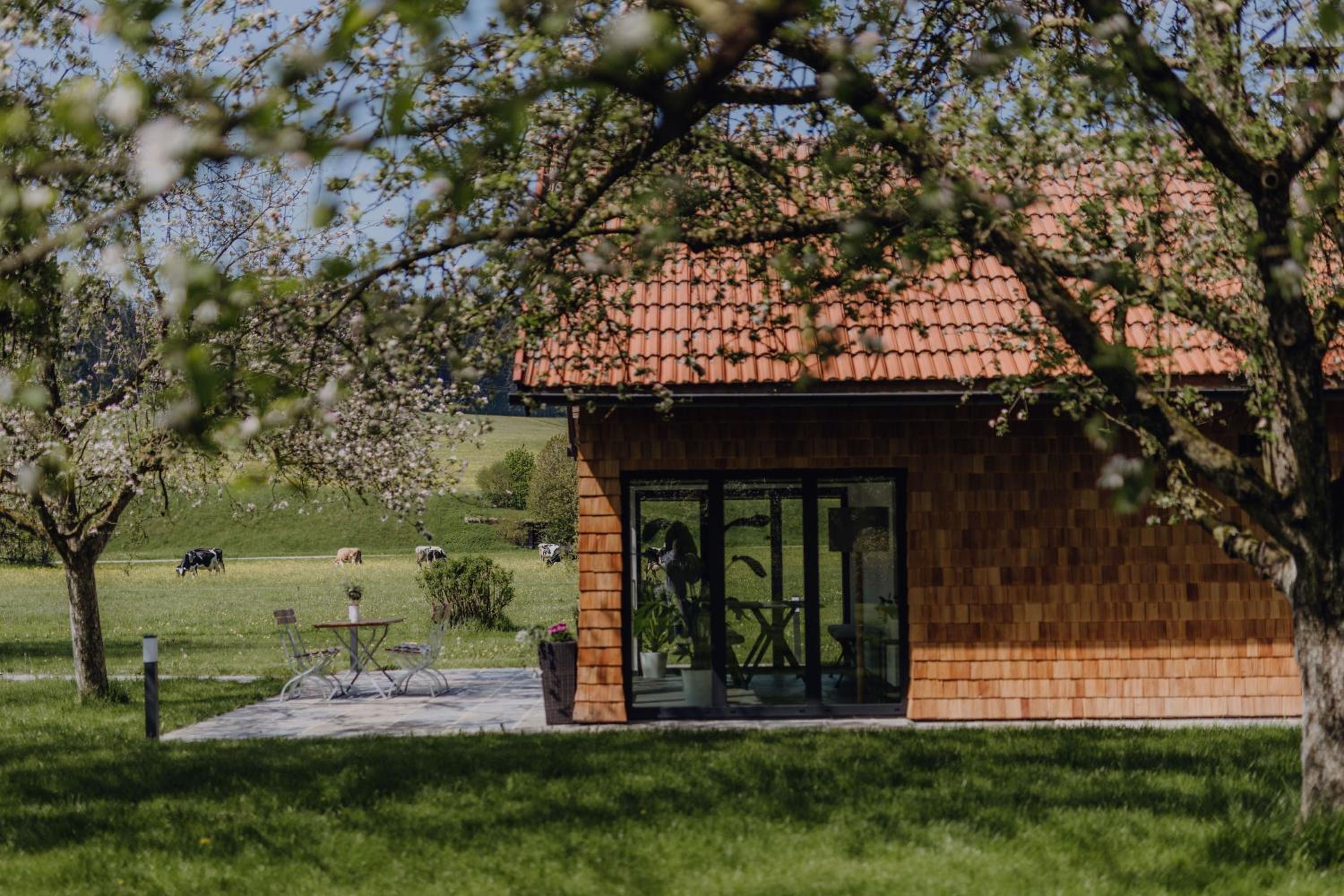 Chalet im Obstgarten