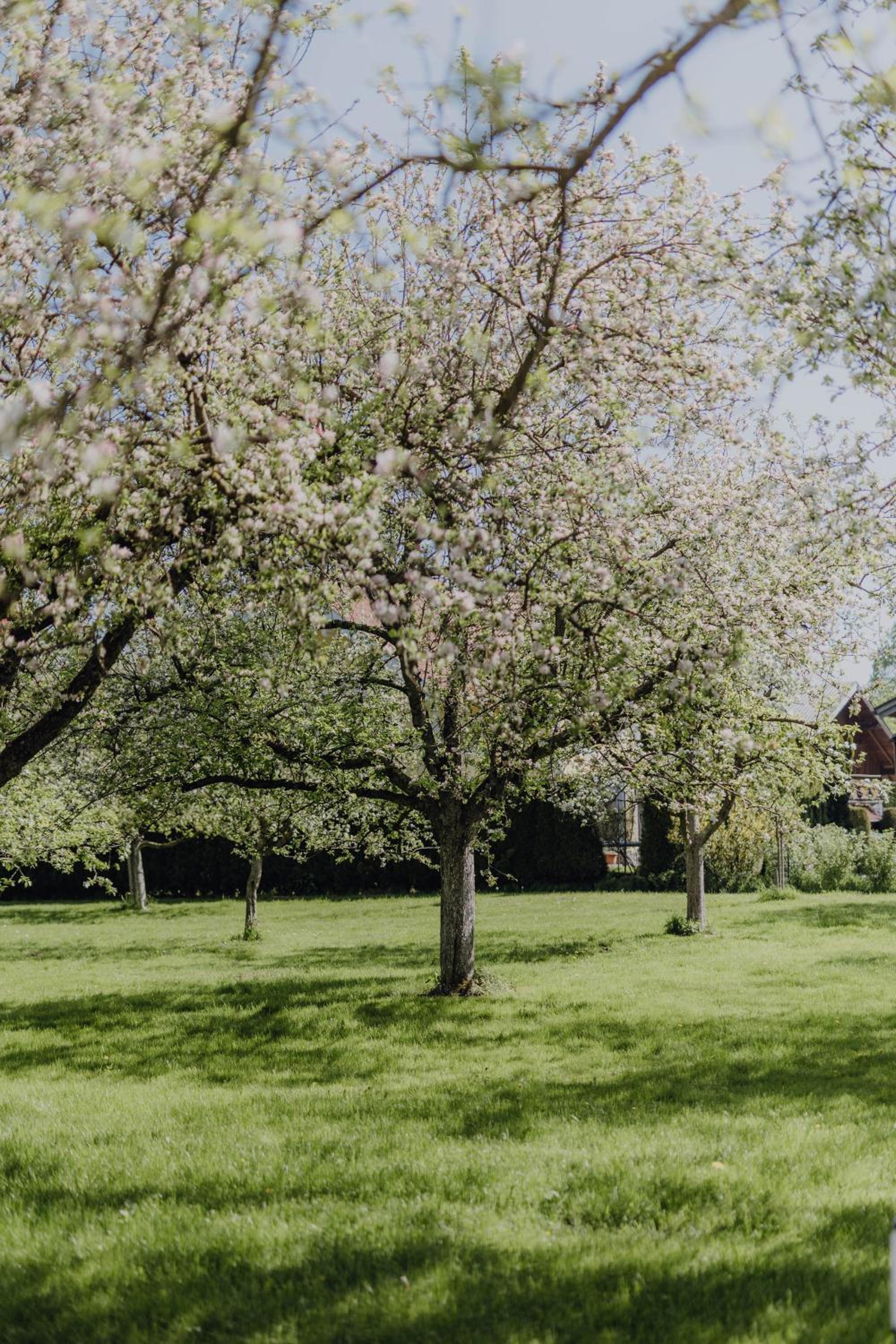 Chalet im Obstgarten