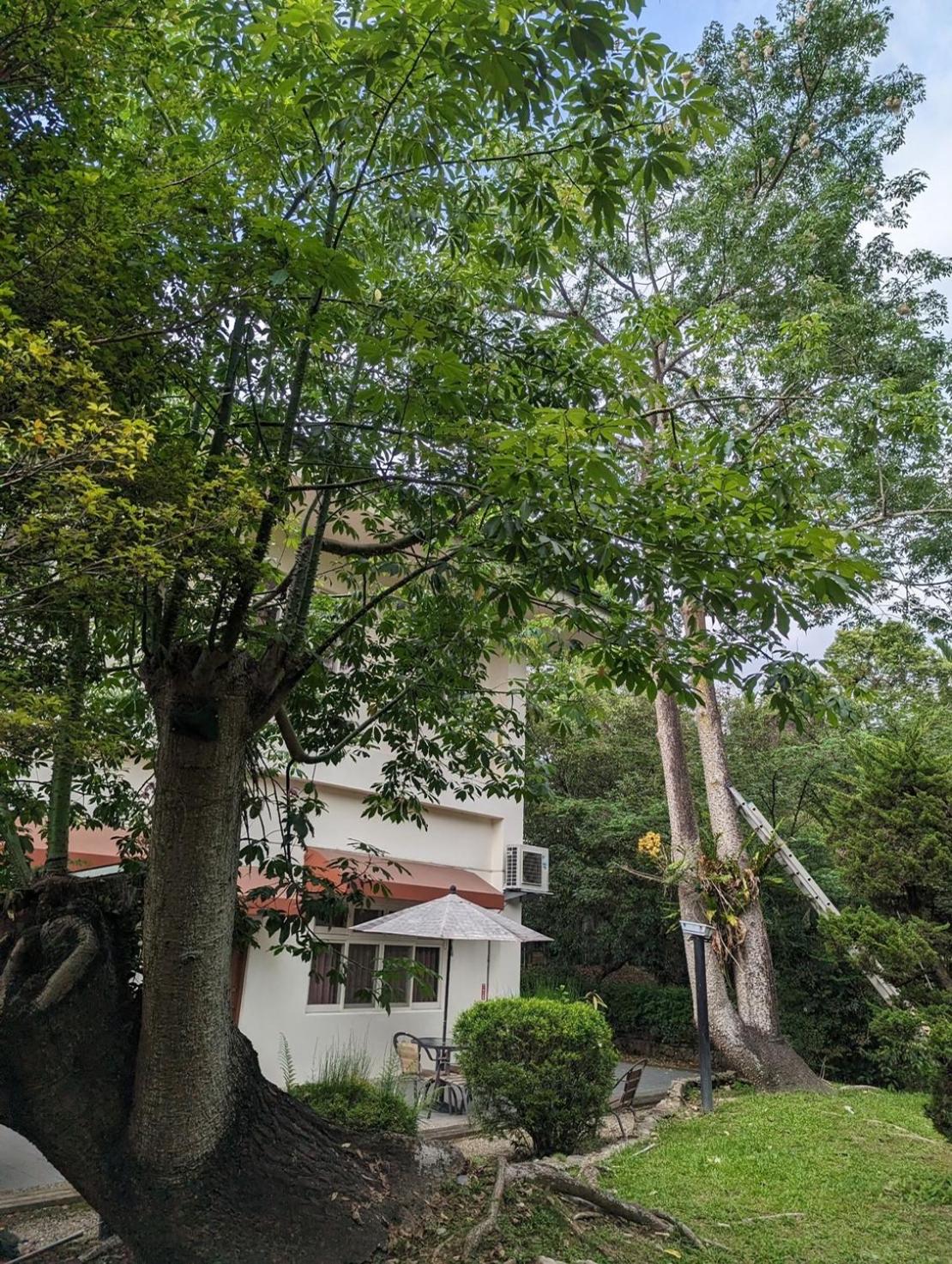 Flying Villa