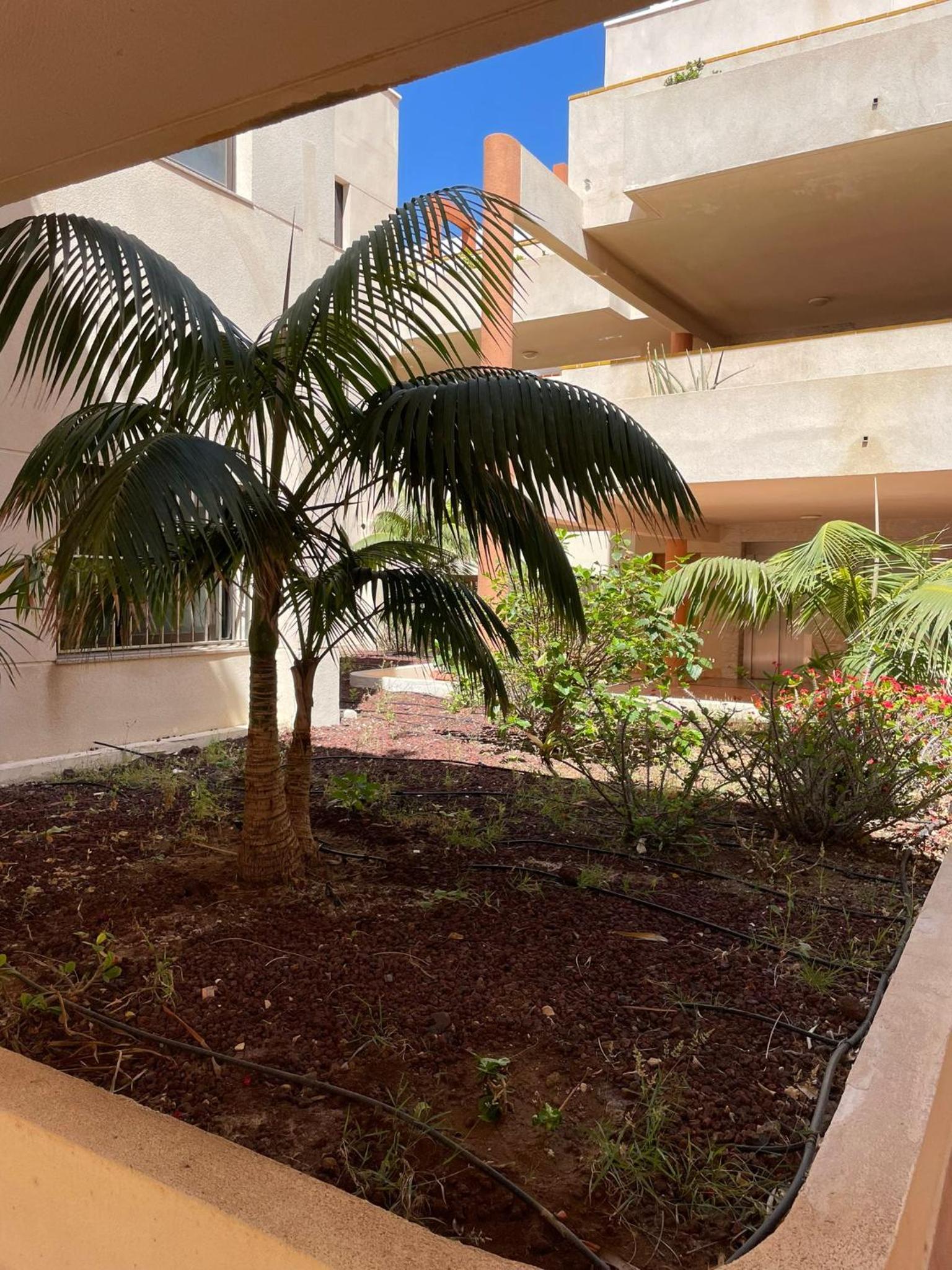 Apartamento en El Médano, Tenerife