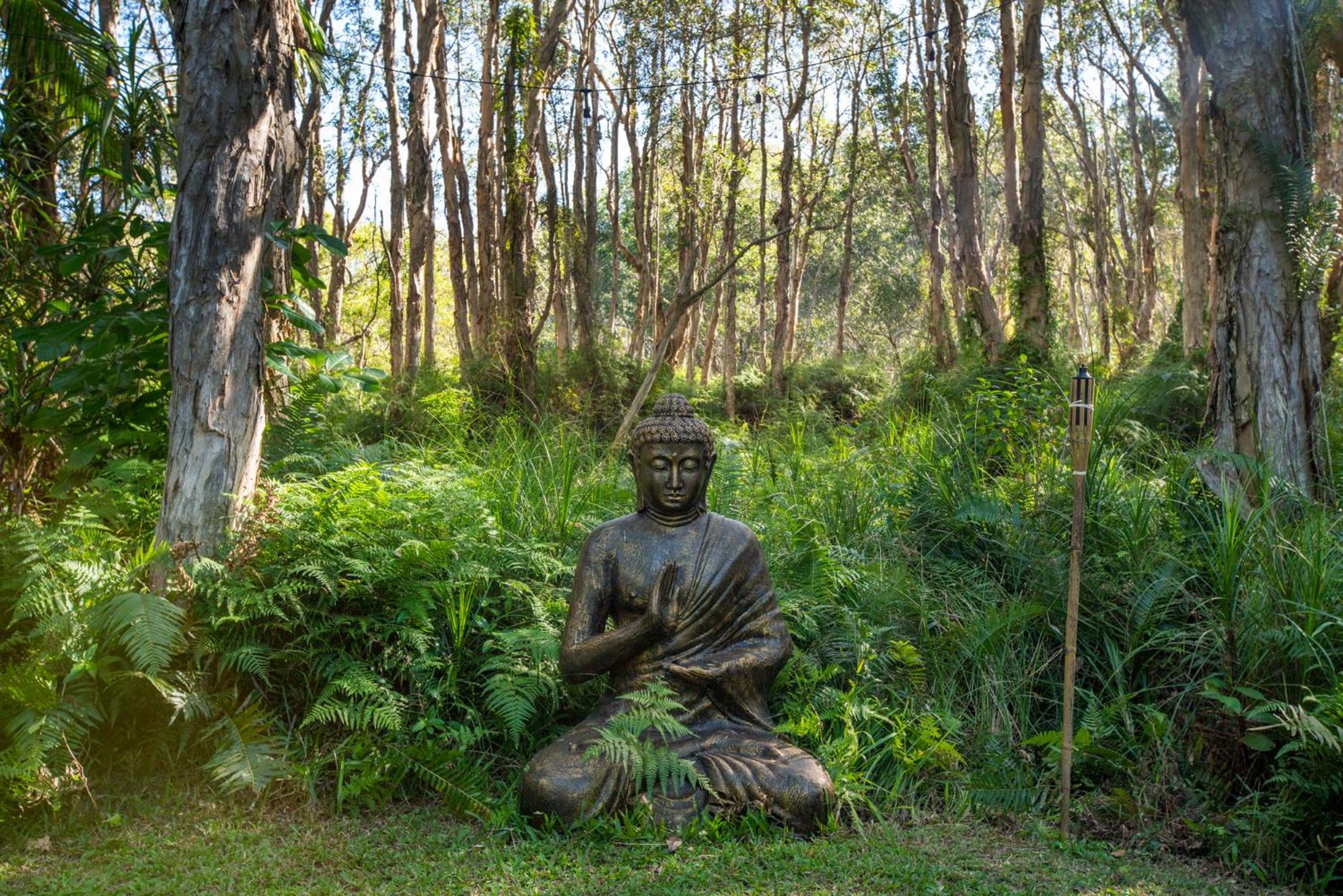 Buddha's Bungalow