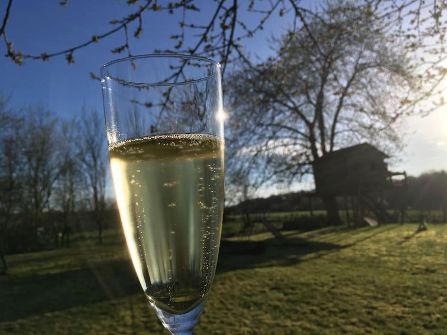 Gerestaureerde hoeve met zicht
