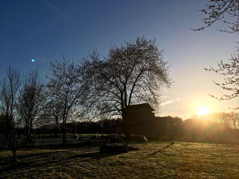 Gerestaureerde hoeve met zicht