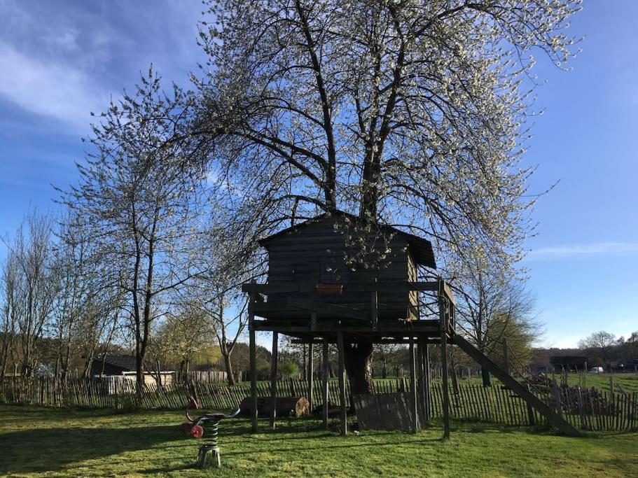 Gerestaureerde hoeve met zicht