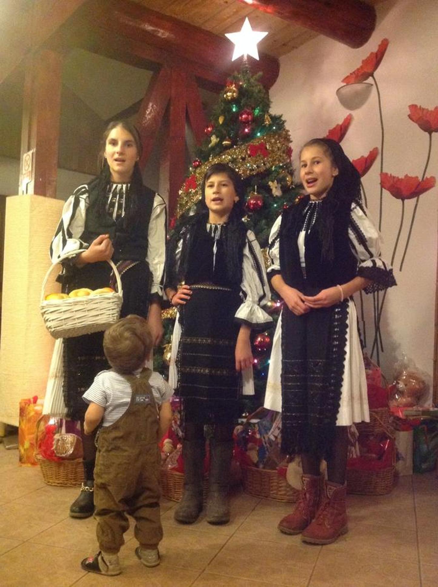 Photo 46