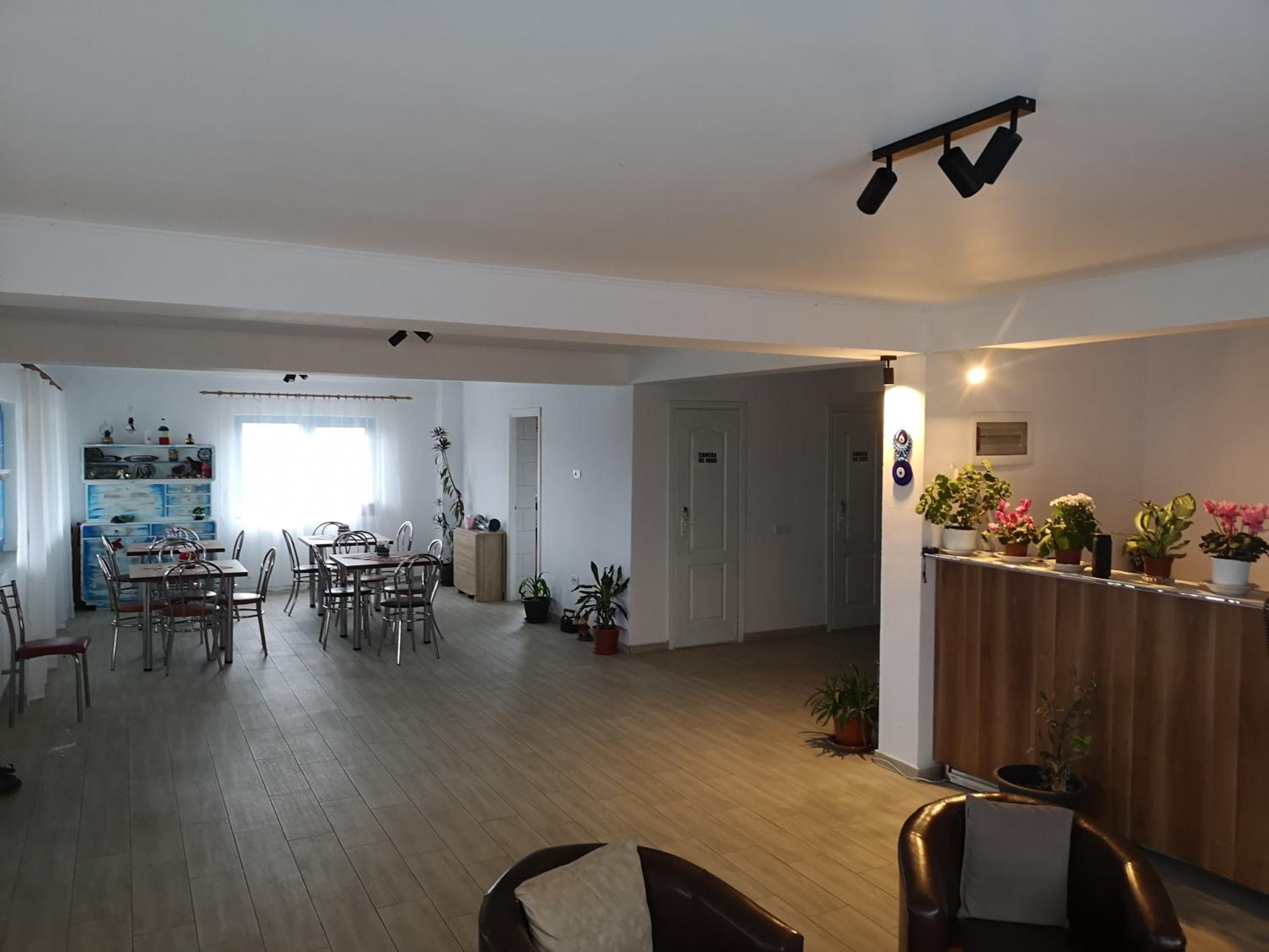 Casa David