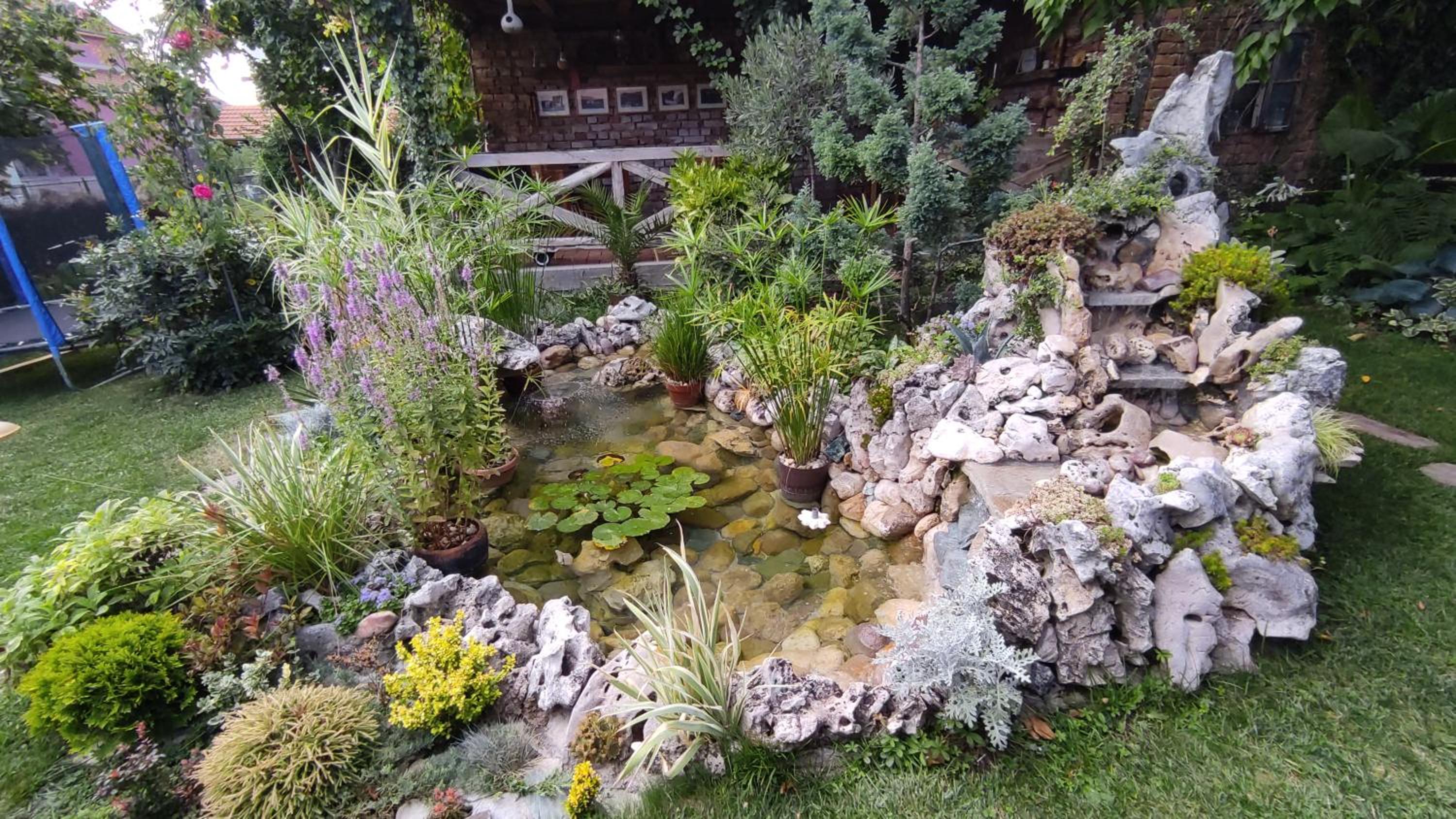 Studio 2 Miljković view 4