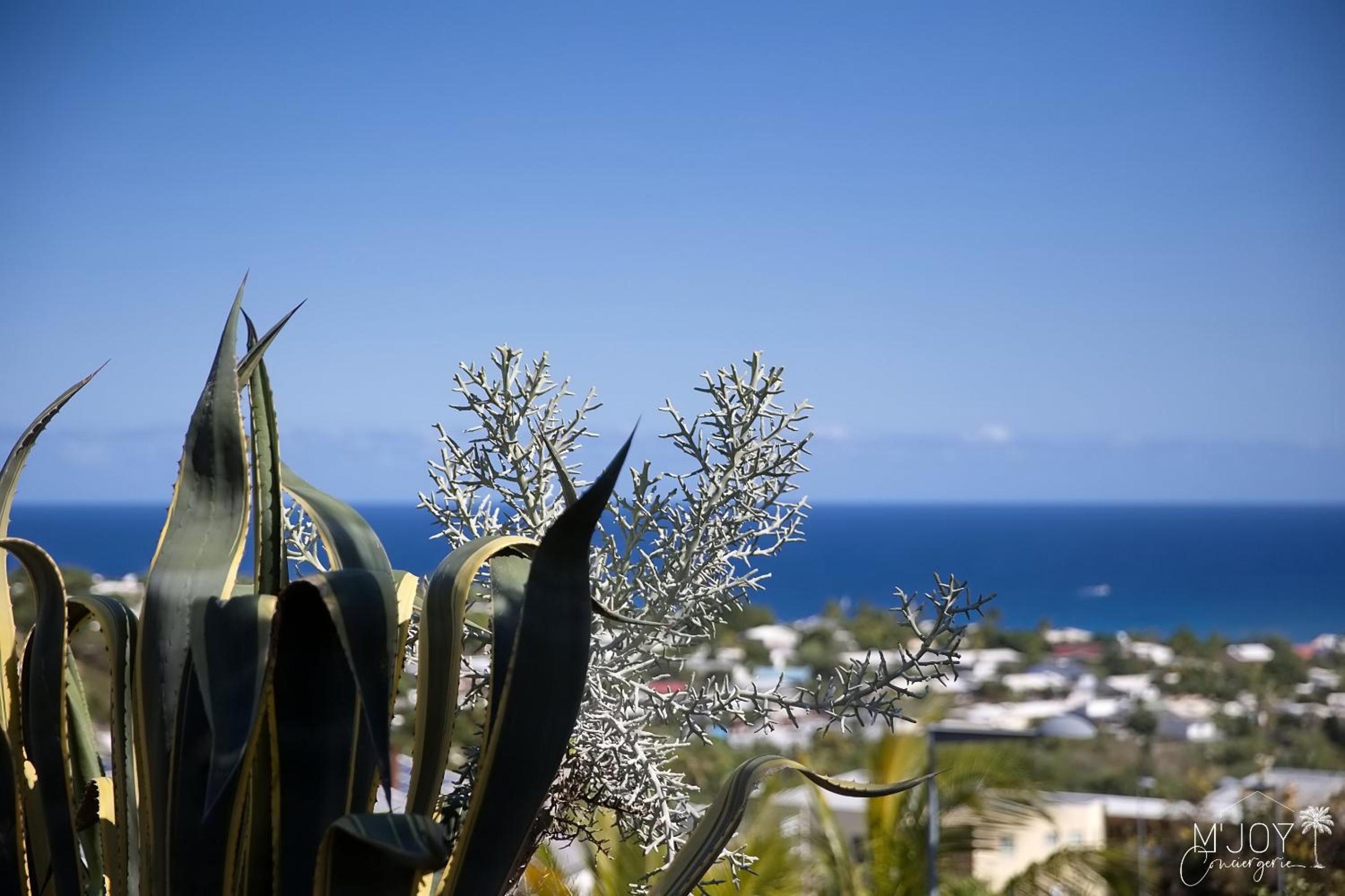 KAZNAV in the St-Gilloise savannah with sea view