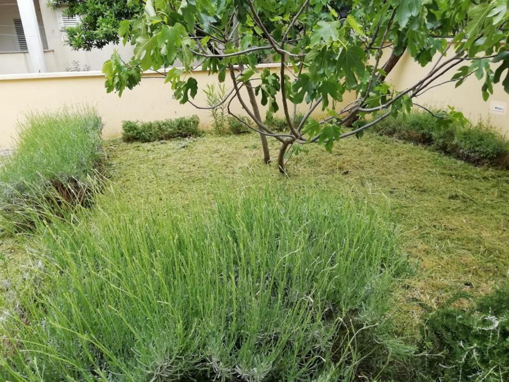 Apartman Mirna