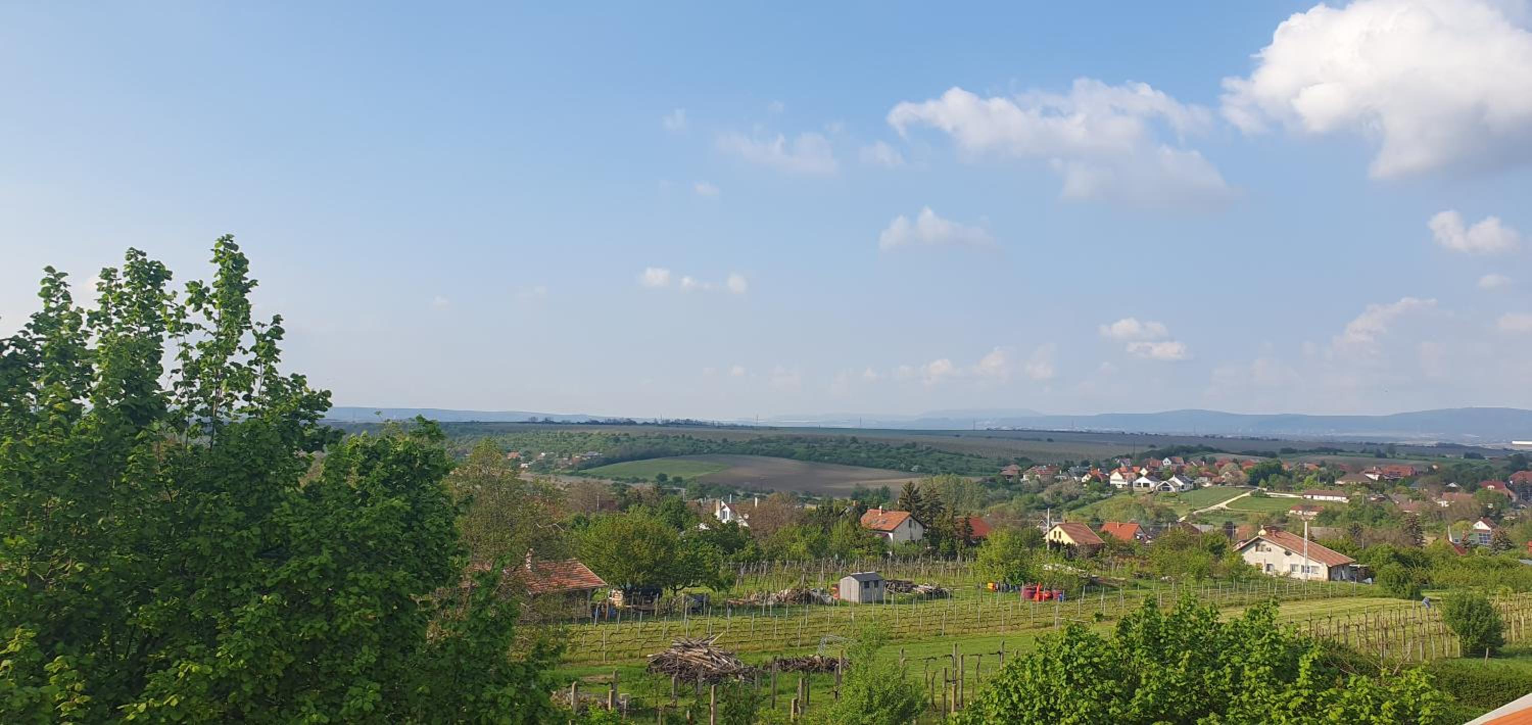 Buborék Apartman - Etyek view 5