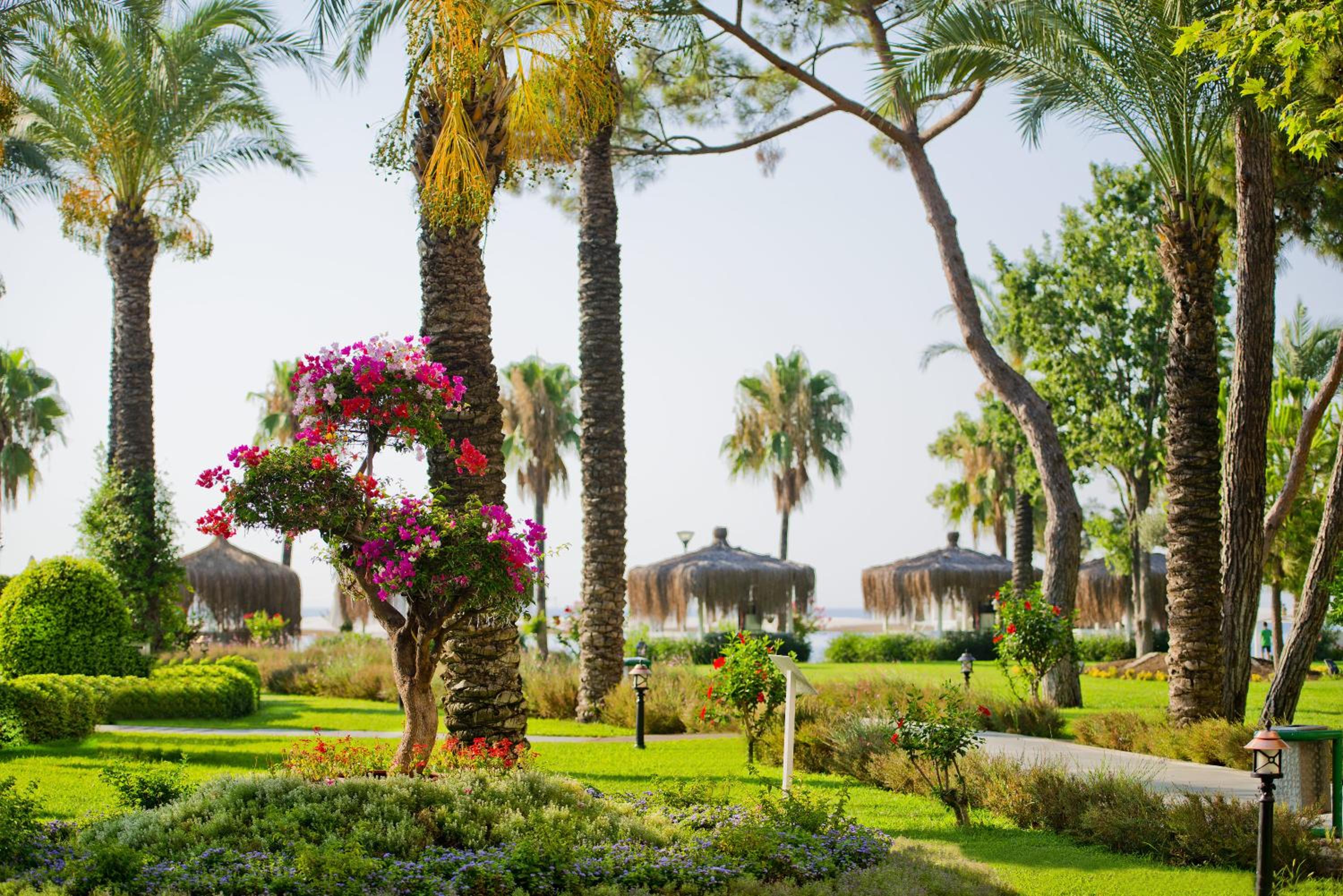 MIRADA DEL MAR HOTEL - Image 33